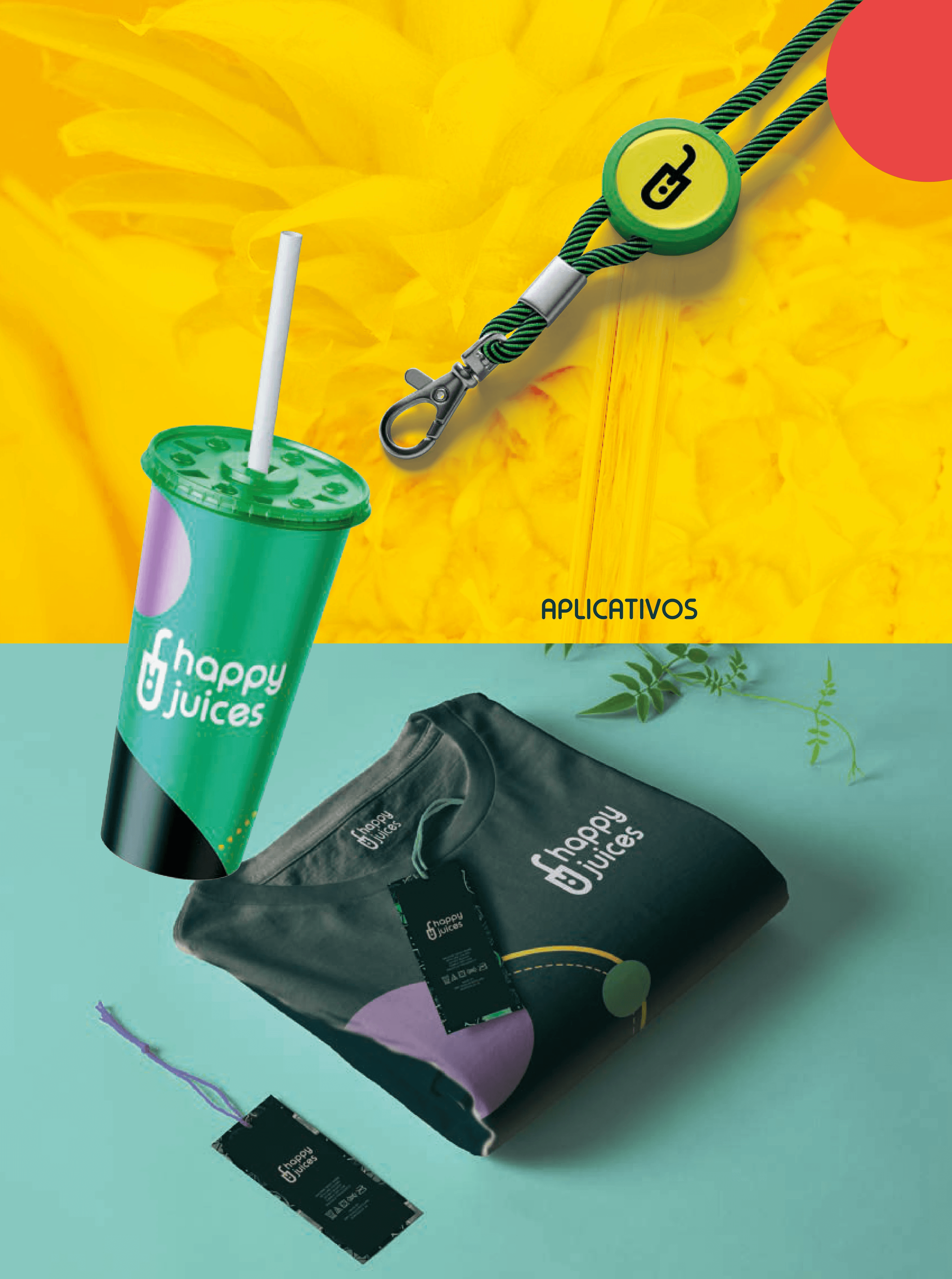 Project Content Image - 4