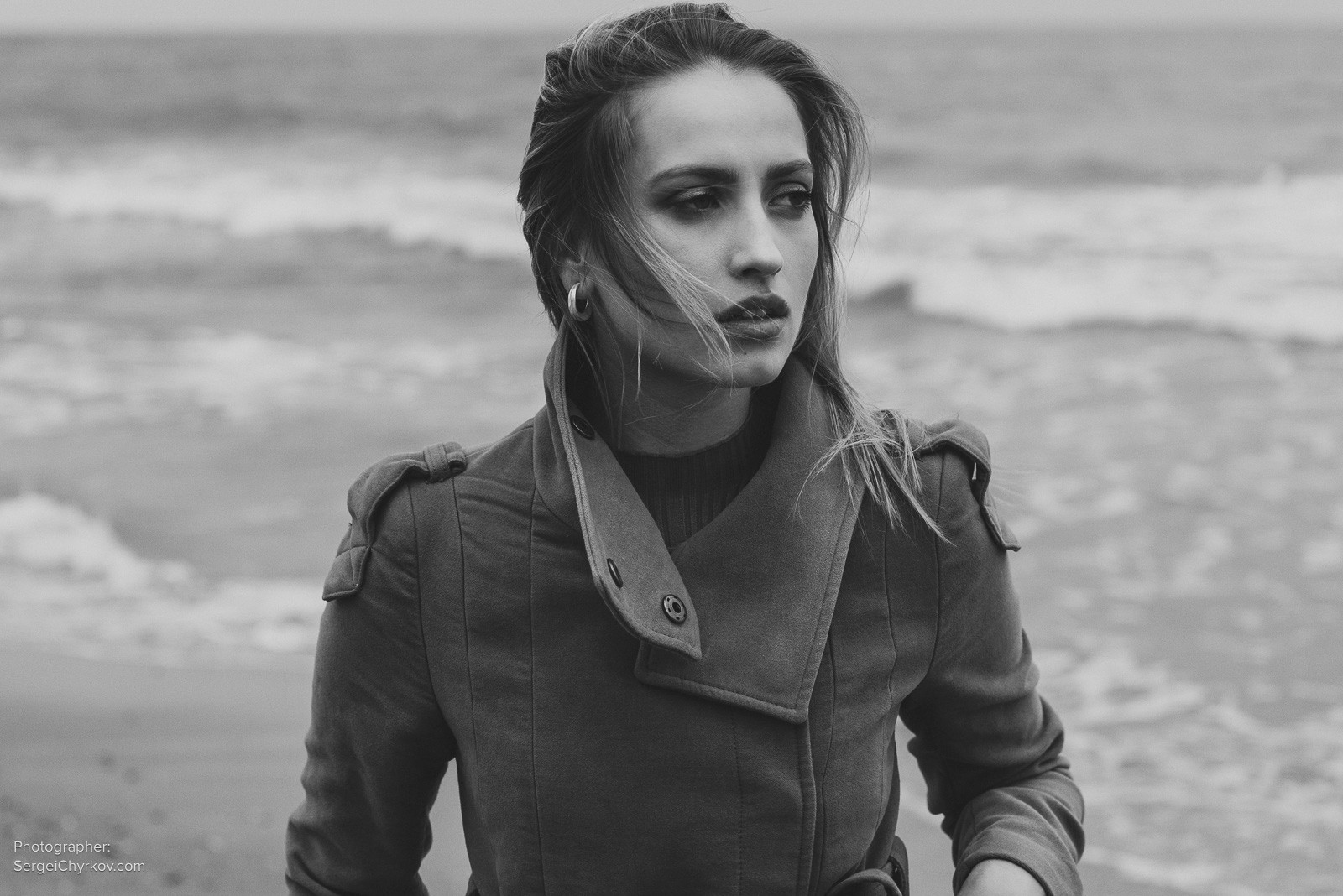 Seagulls by Sergei Chyrkov