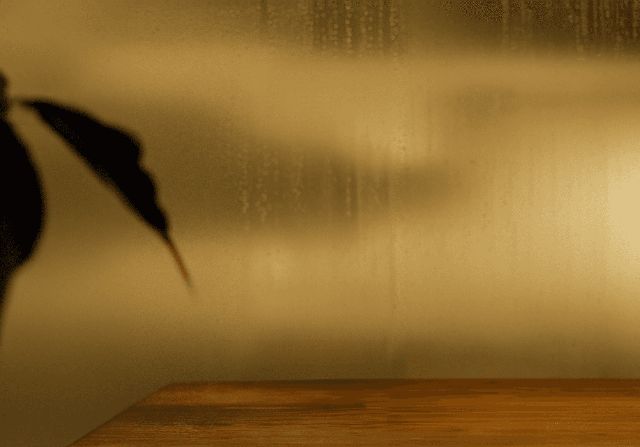 Dark gradiend background