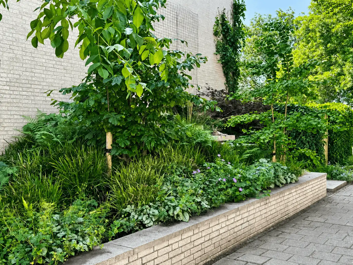 Strakke tuinaanleg van elegante staptegels in Malden door Hoveniersbedrijf Star Landscaping