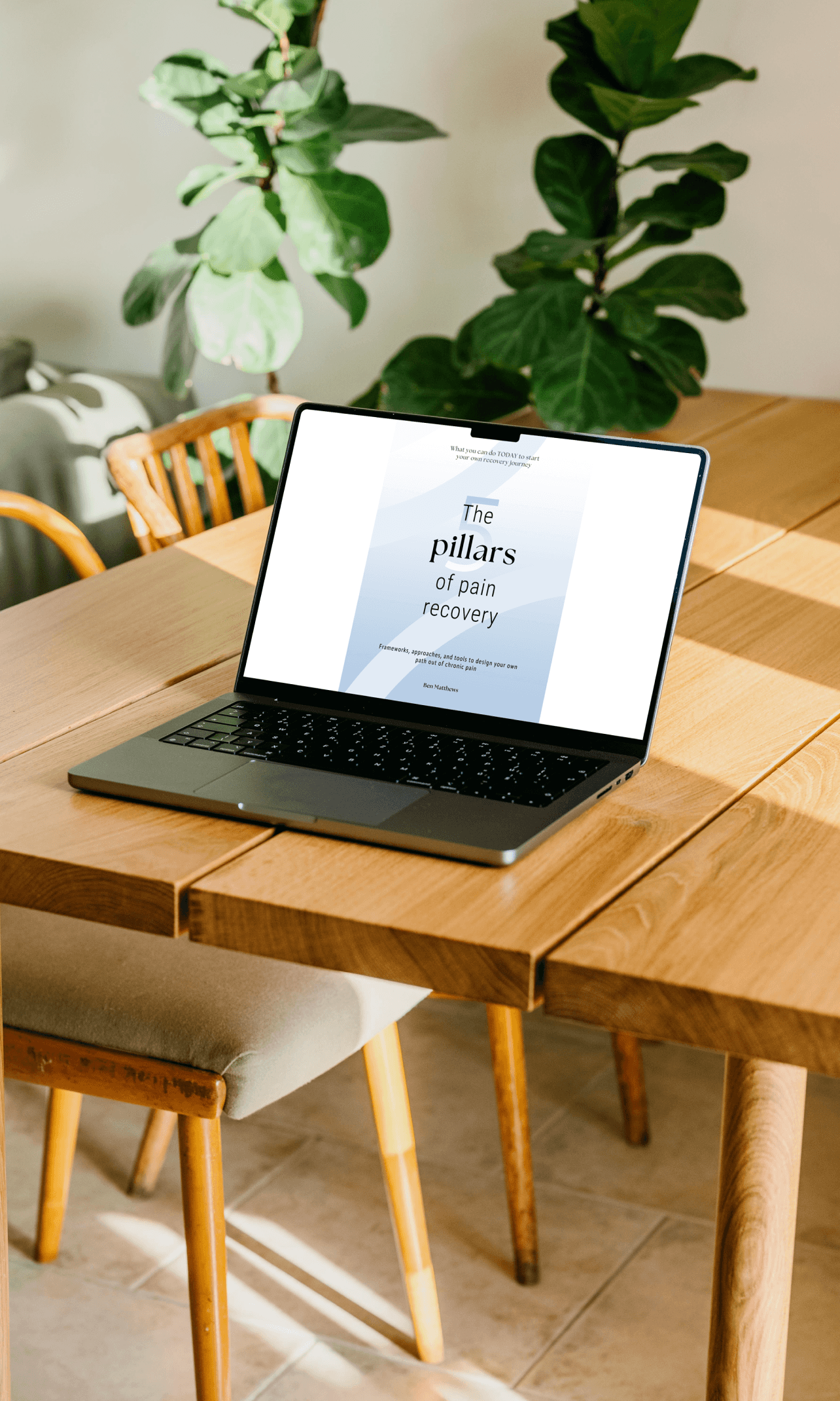 PainPlain 5 Steps of pain recovery ebook laptop image