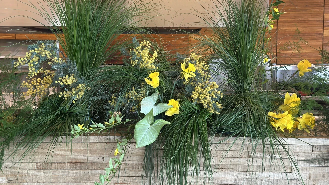 Arreglo lineal con gramíneas altas, mimosa amarilla y narcisos sobre base de madera.