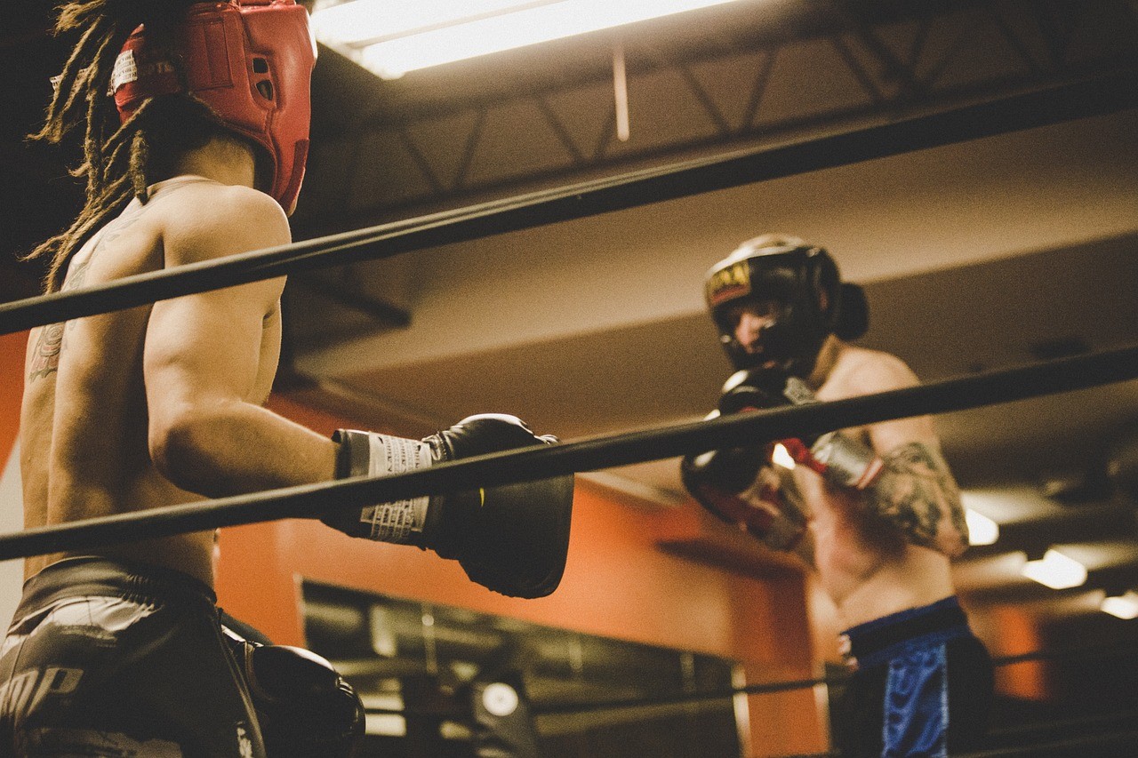 Zwei Boxer im Ring trainieren.