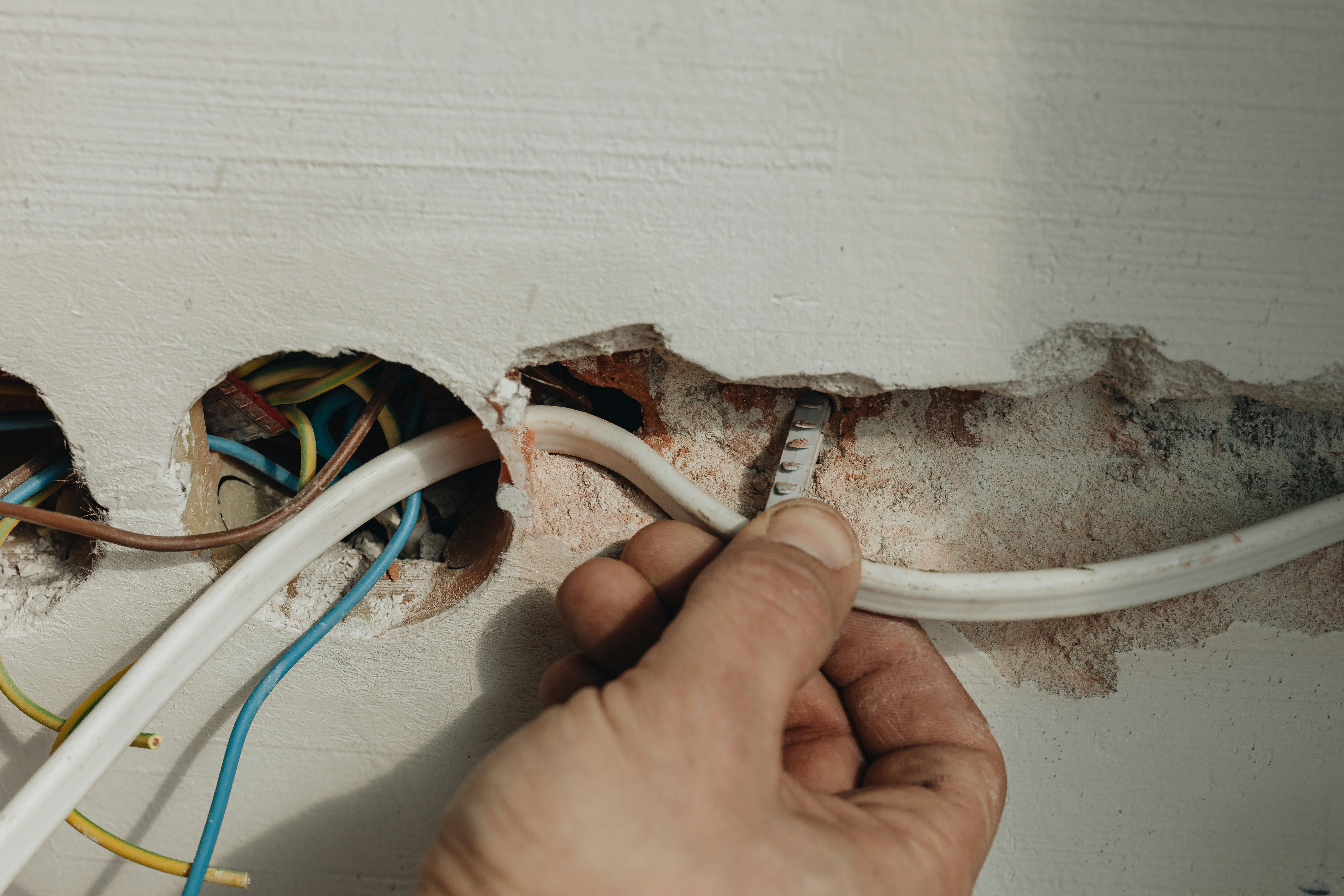 Expert Commercial Dry Rot Repair Everett: Pro Solutions