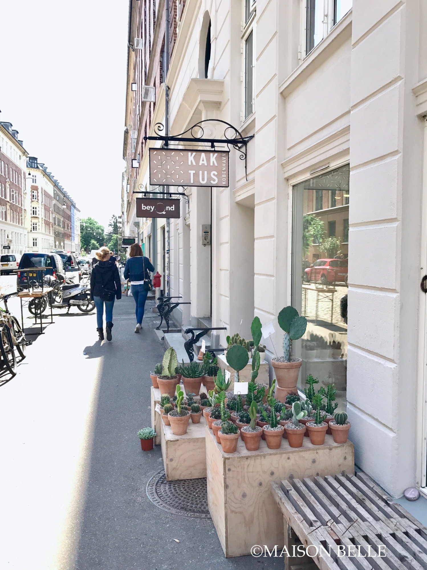 kaktus hotspot kopenhagen