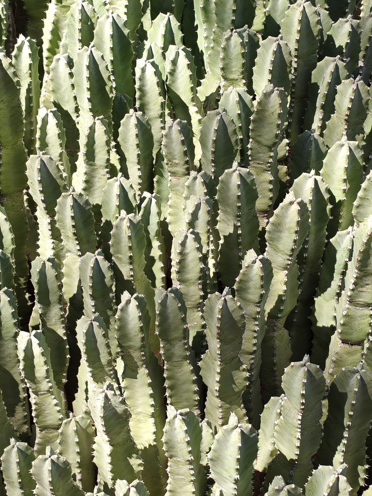 Album Photo Real Mehedi Free Framer Template Photography