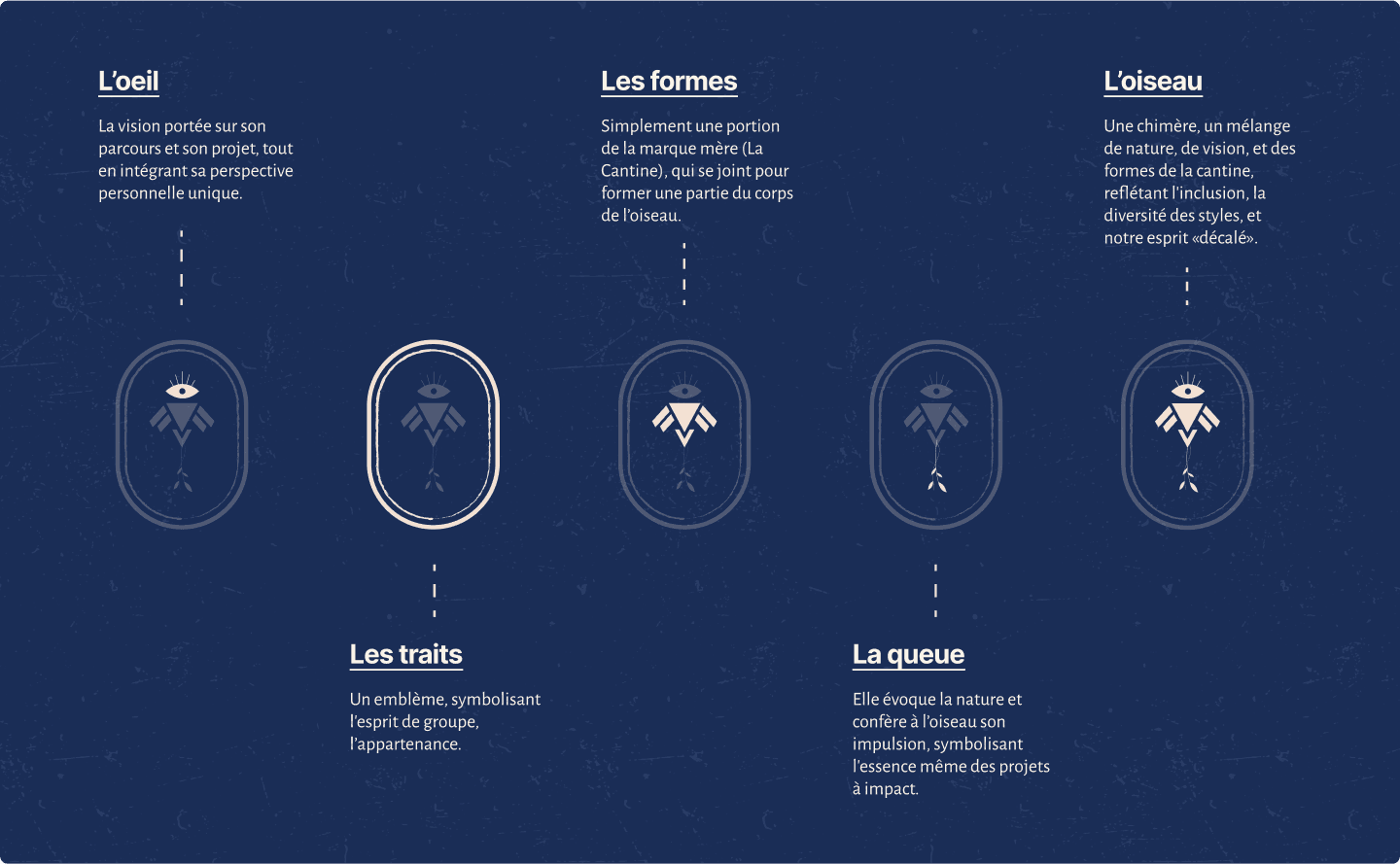 Détails du logo Maia Mater, avec des explications sur la signification des formes, l'œil, l'oiseau et les traits.