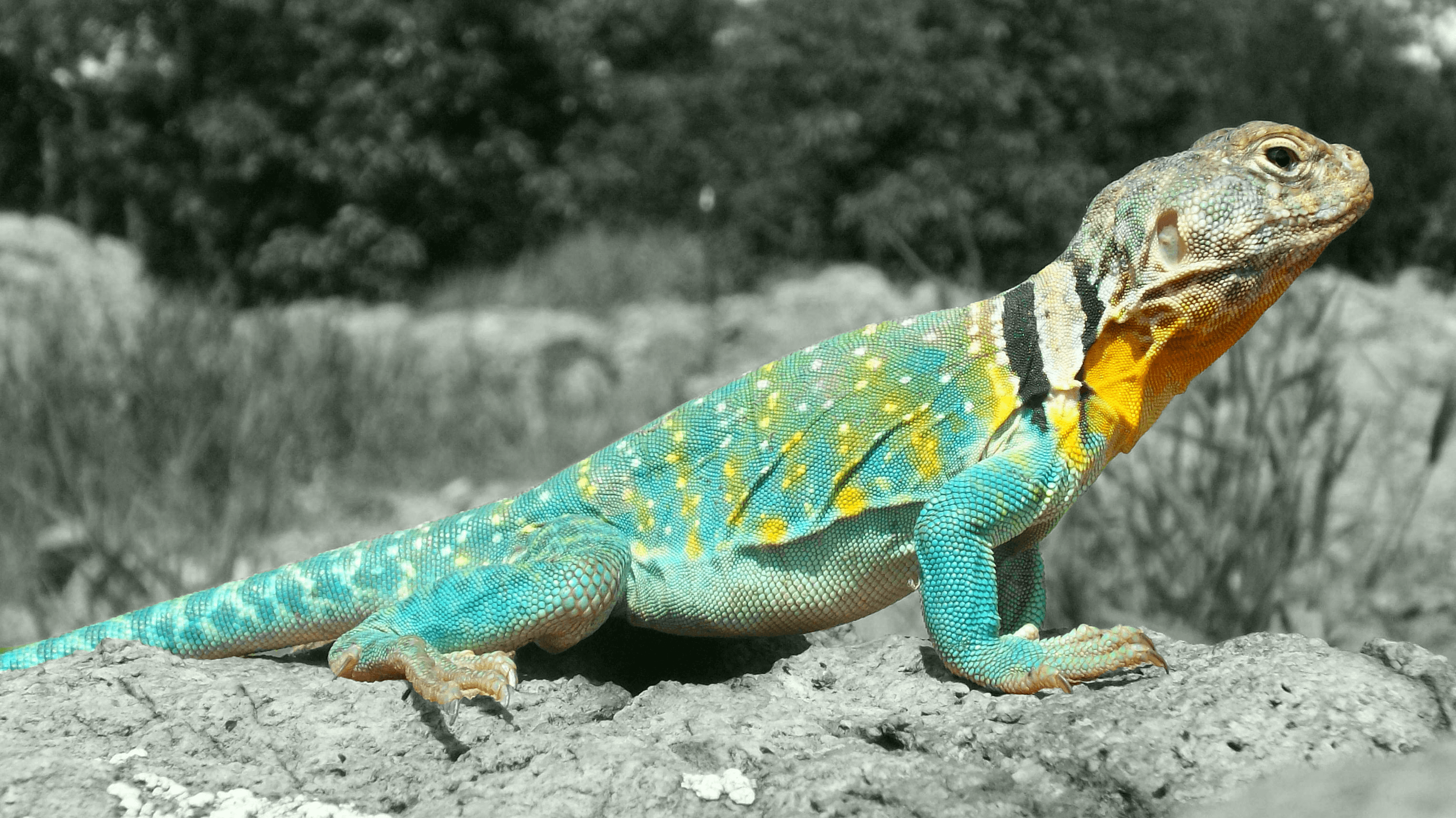 A baby reaches out with a hand.