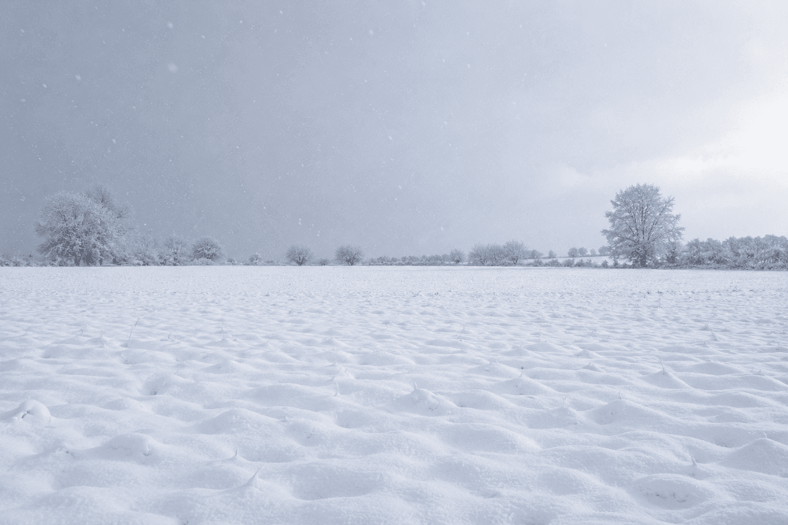 Snow-covered field and trees on a cold UK winter day — representing the kind of weather conditions that affect heat pump running costs and electricity use during the heating season.