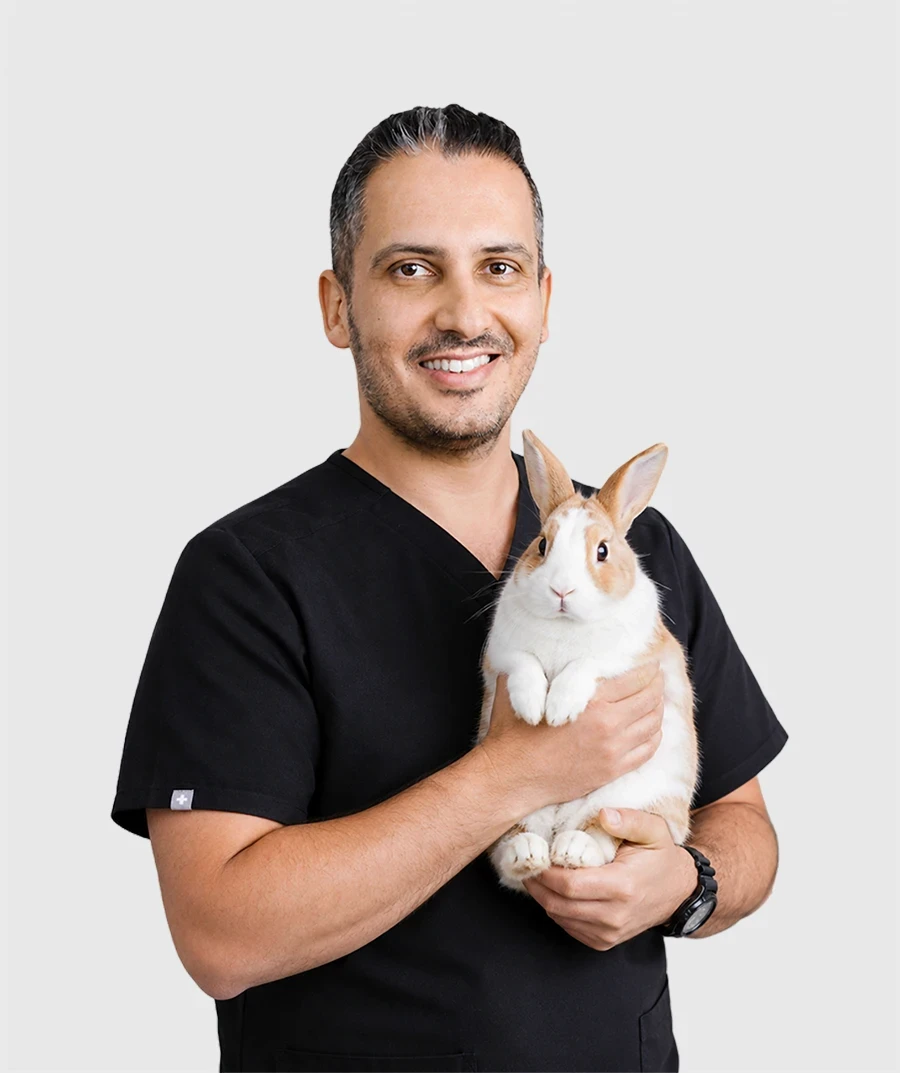 Dr. J Yeganeh of Noble Veterinary Clinics holding a rabbit.