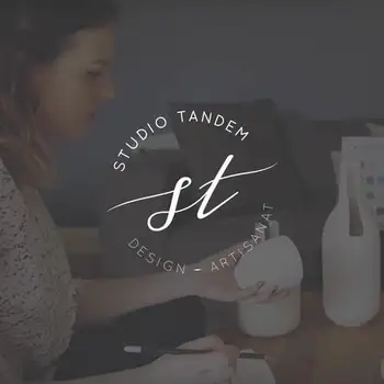 Miniature du projet video crowdfunding pour le studio tandem