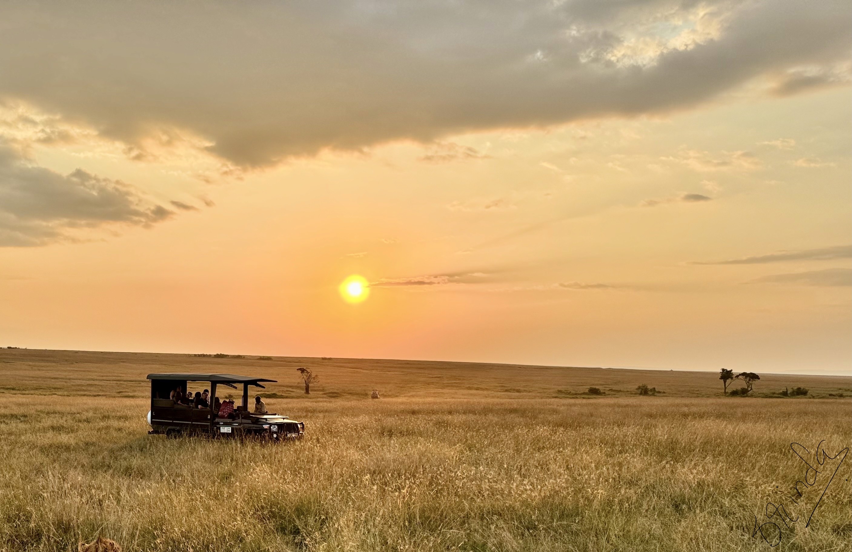 A lone safari vehicle in the plains of Savannah at the golden hour