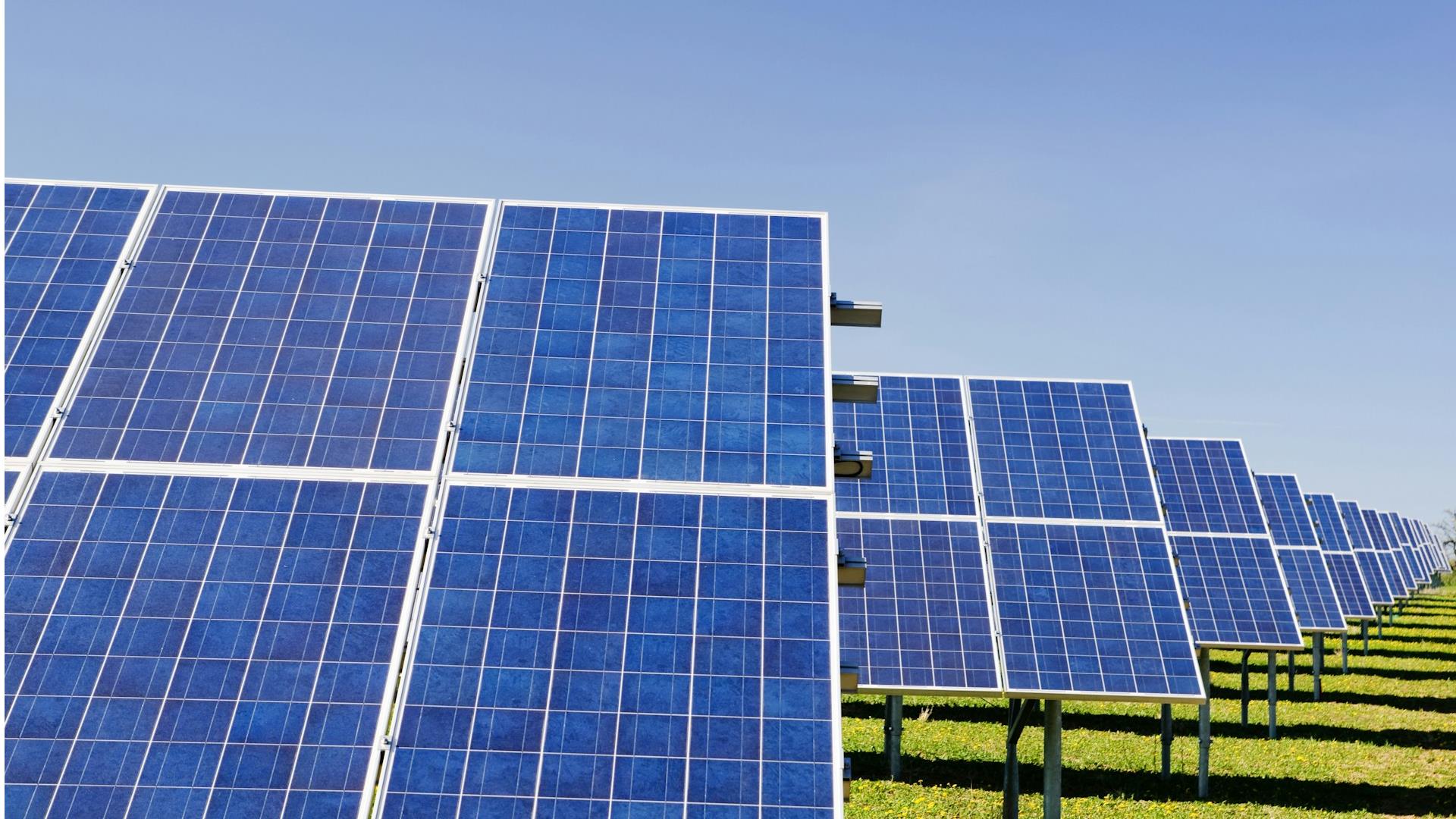 Rows of blue solar panels aligned in a field under a clear blue sky, conveying a sense of sustainable energy and environmental harmony.