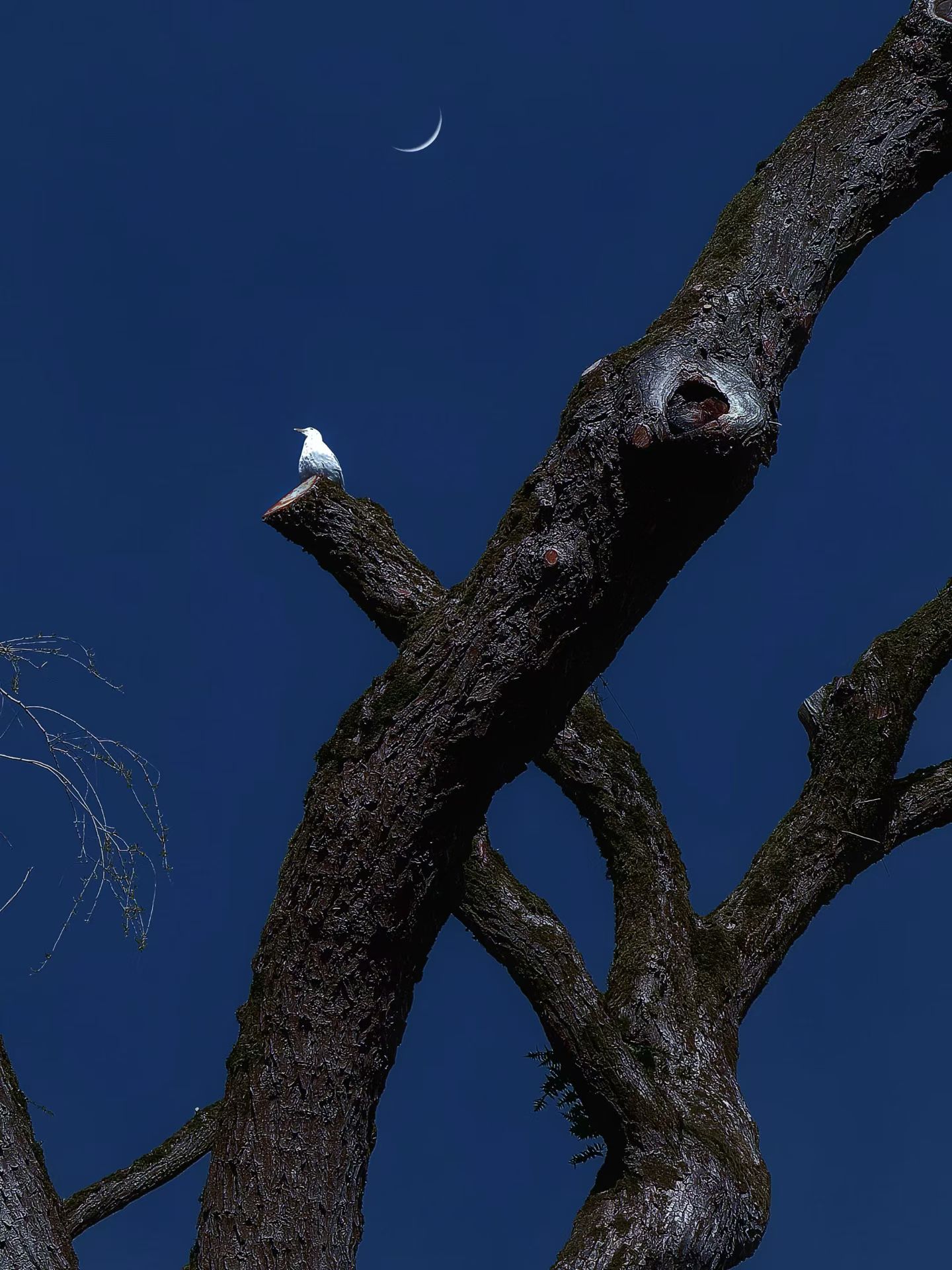 Black and white photo of two people looking at a computer screen with papers on wall