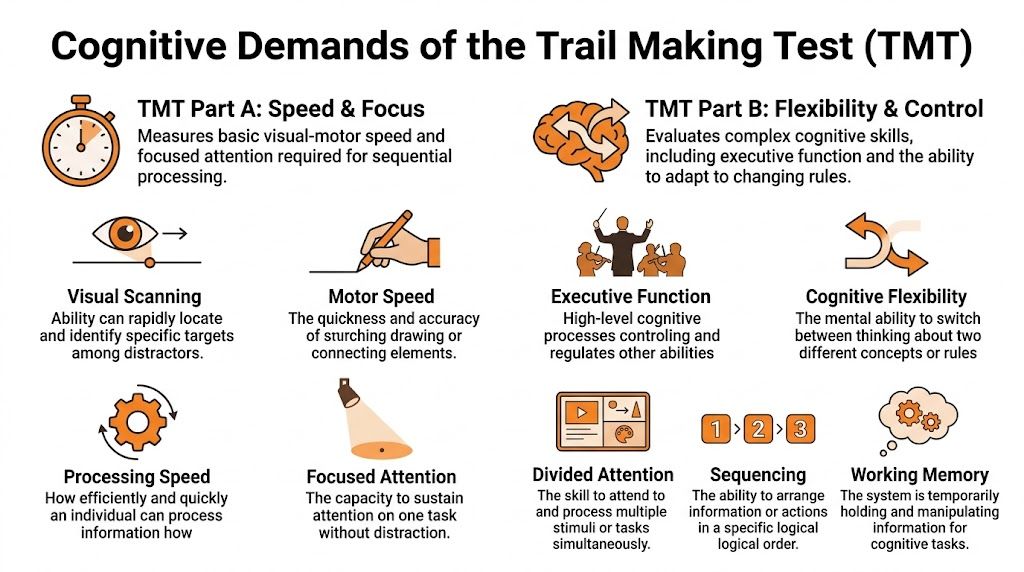 An infographic showing the cognitive demands of the Trail Making Test, highlighting skills for parts A and B.
