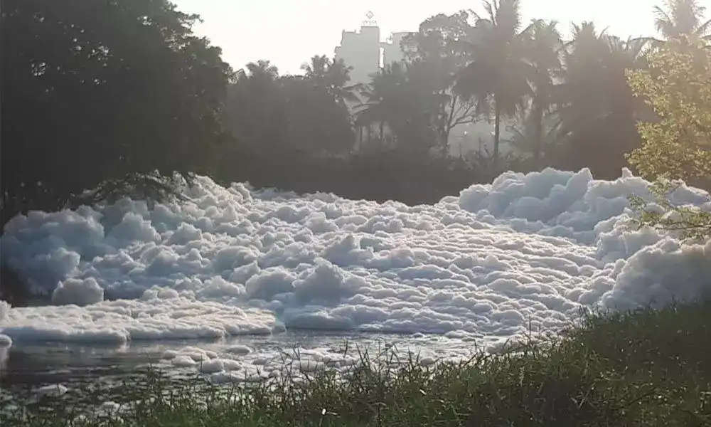 Polluted Bellandur lake in Bengaluru - Mission_Sustainability