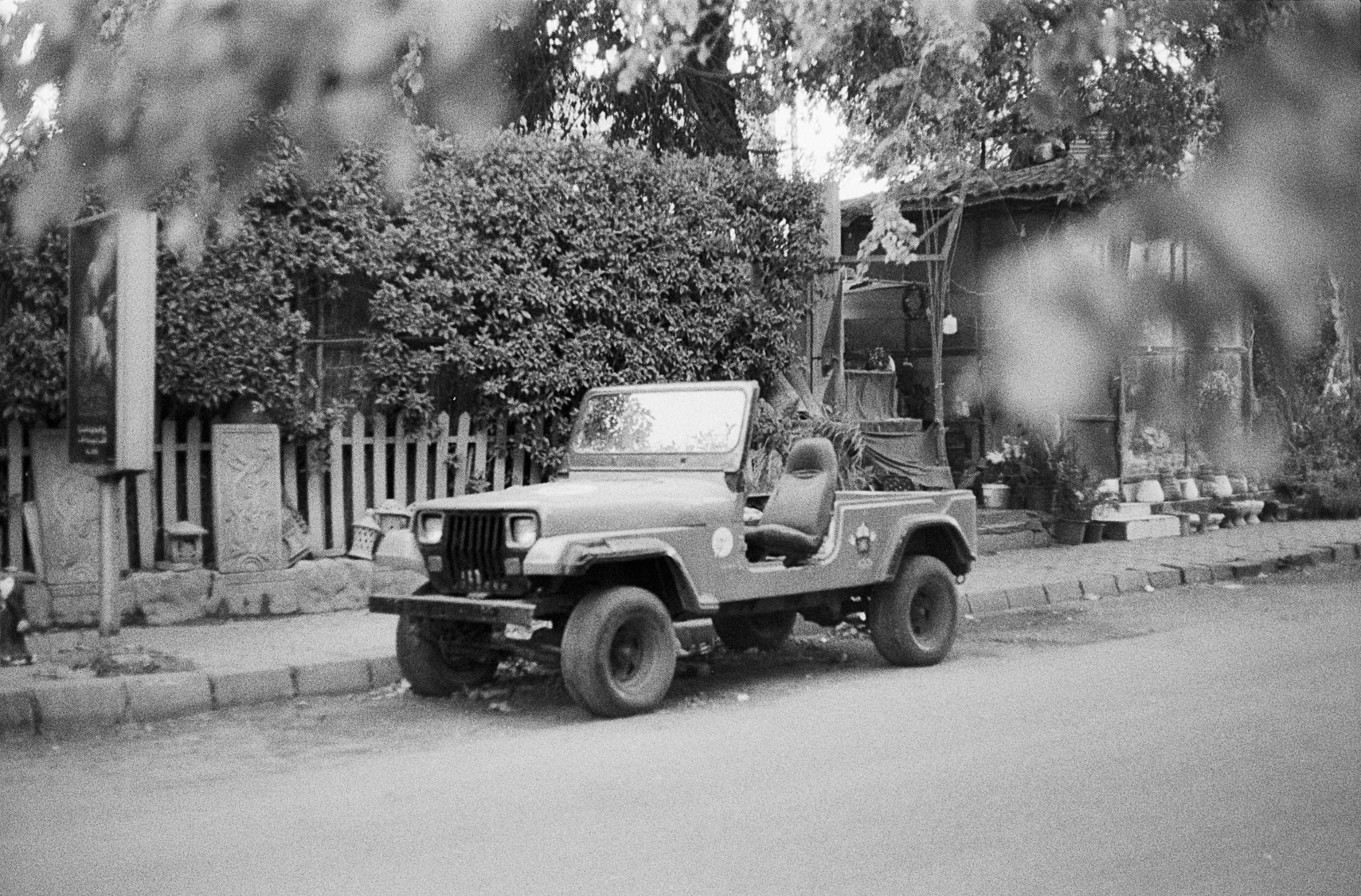 Jeep Beneath the Leaves