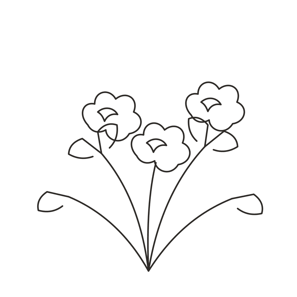 Line drawing of Knockout Rose