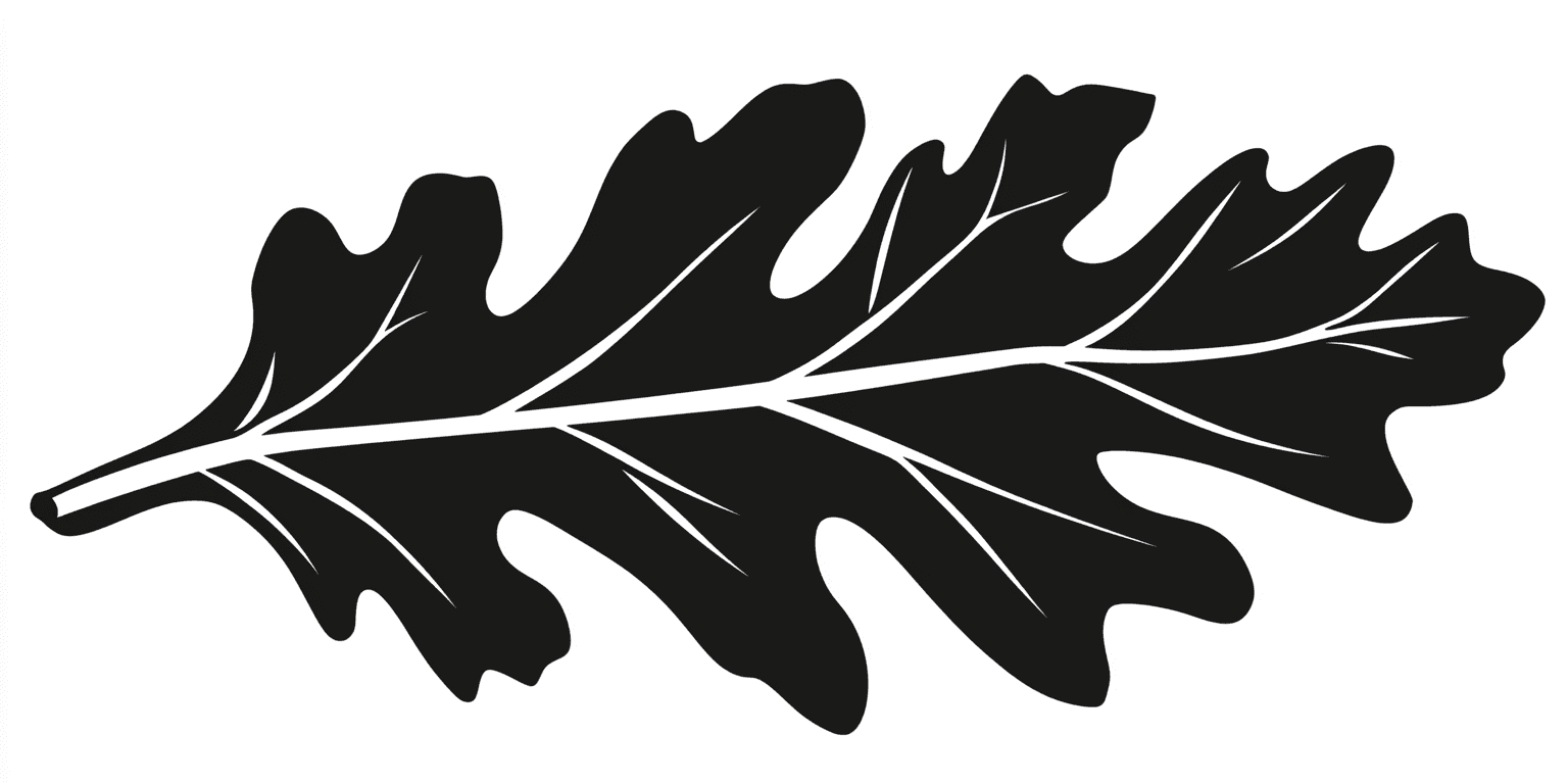 Things To Draw When Bored - Oak Leaf Nature Stencil