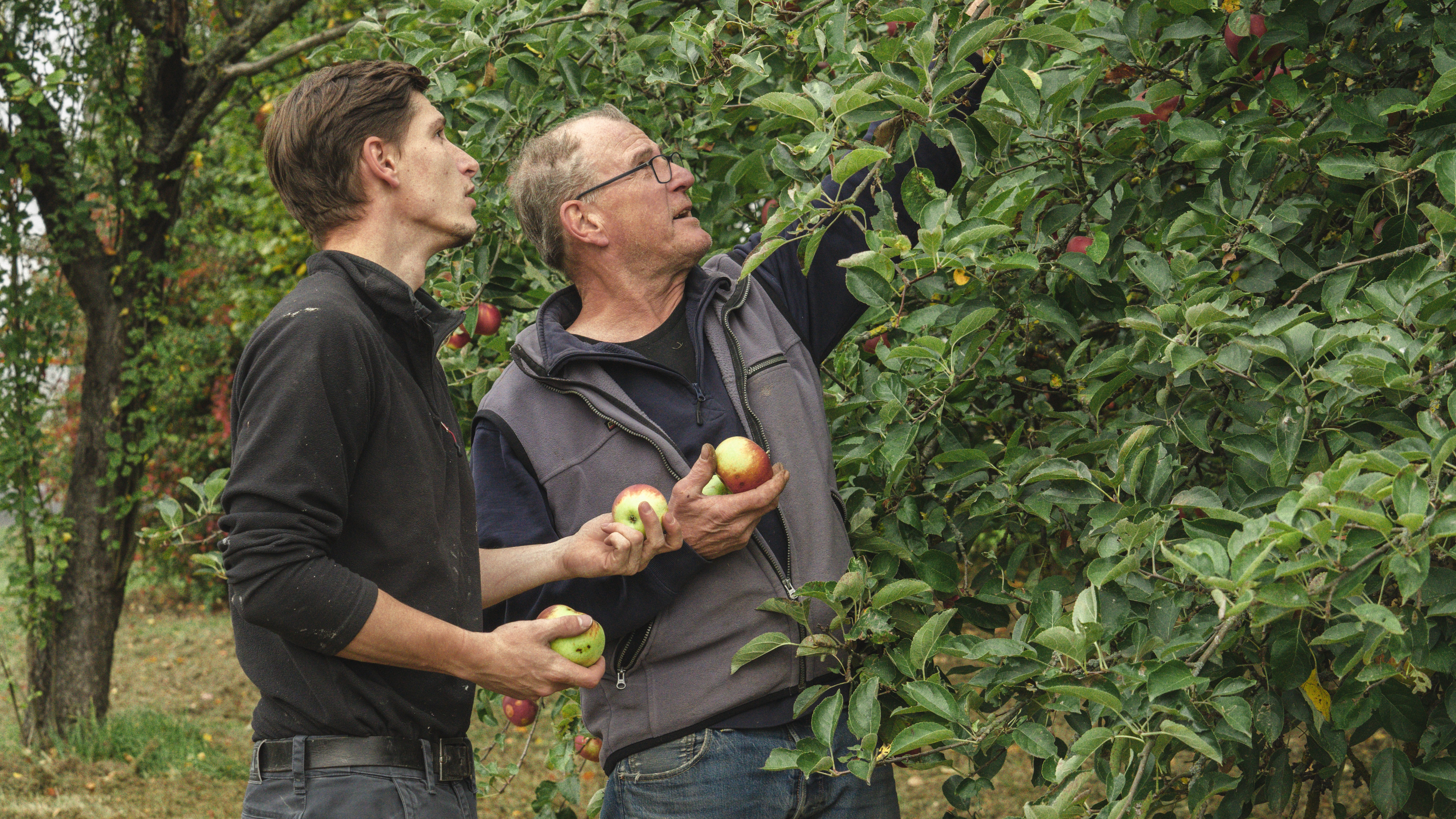 A dropper is releasing a drop of liquid into a dark glass bottle, with a soft green background.