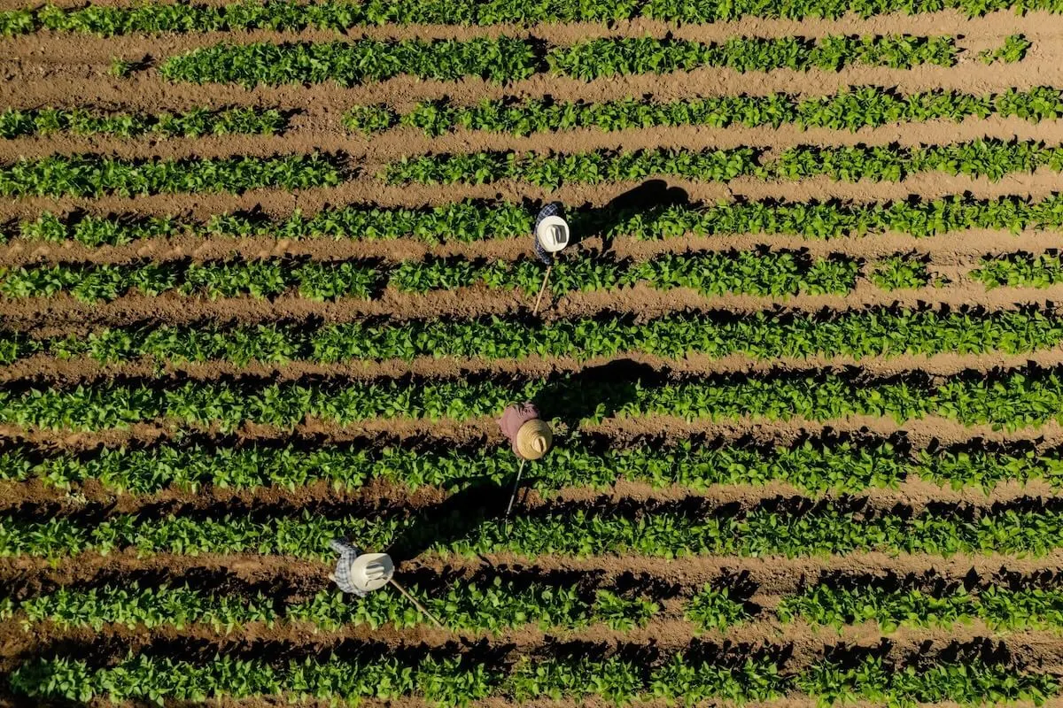 Aspect ratio controlled image