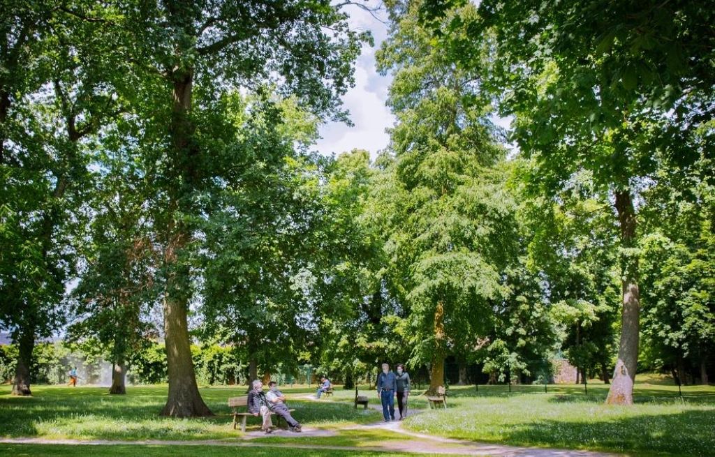 Expansive park grounds with mature trees, walking paths, and benches - residents and caregivers strolling through peaceful green space