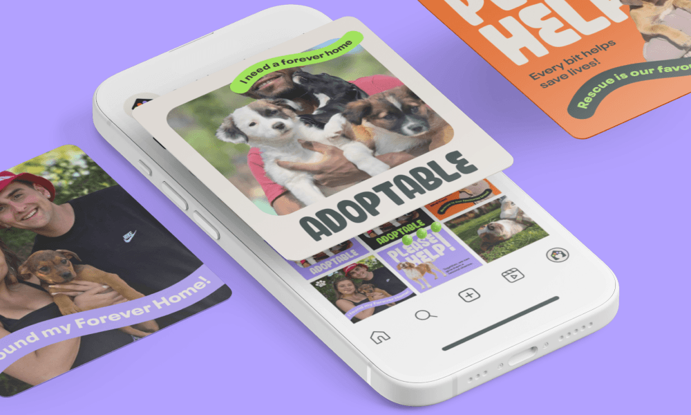 Instagram post mockups.