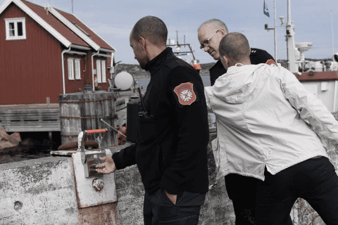 Blumags demonstrating magnets