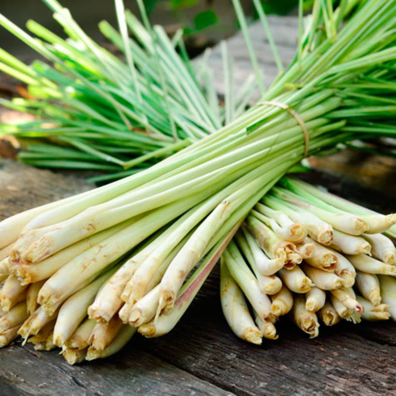 two people looking at a tablet and smiling