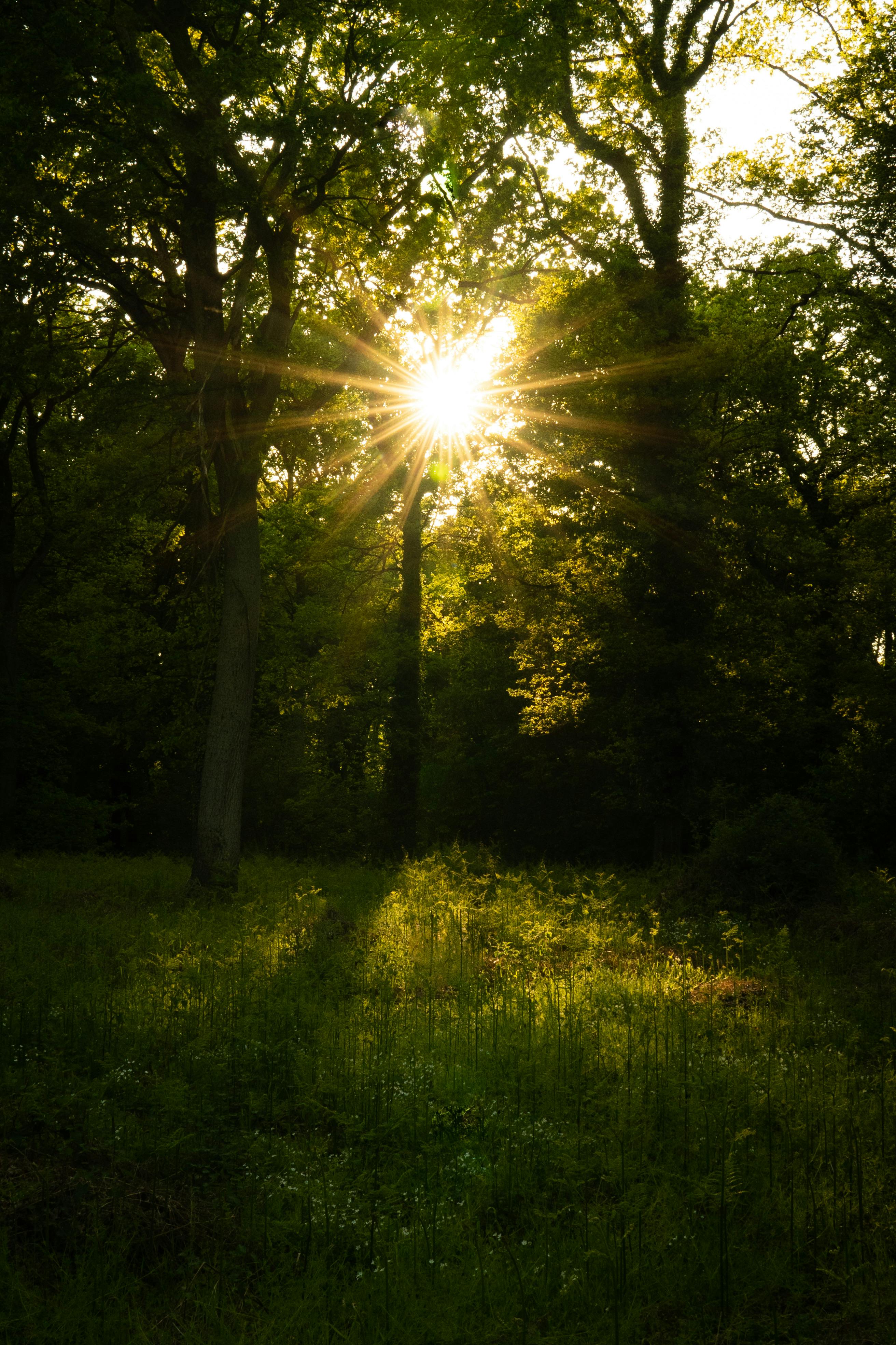 Landscape with soft sun light