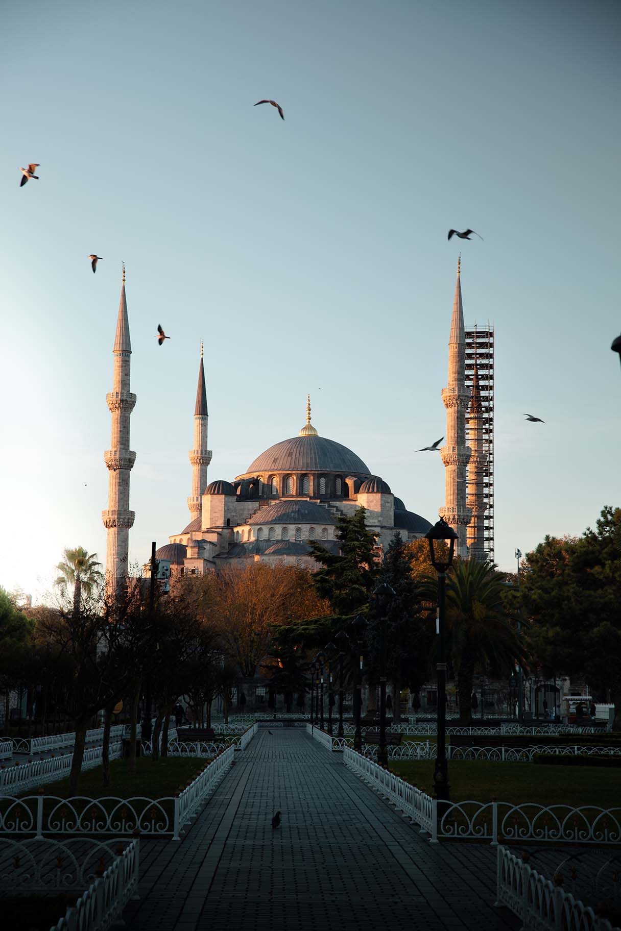 The Blue Mosque in Istanbul, Turkey at sunrise.