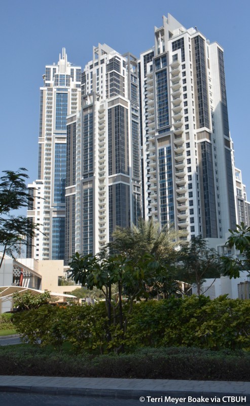 Urban scene featuring Aspect Tower from the street, surrounded by lush green bushes and palm trees.