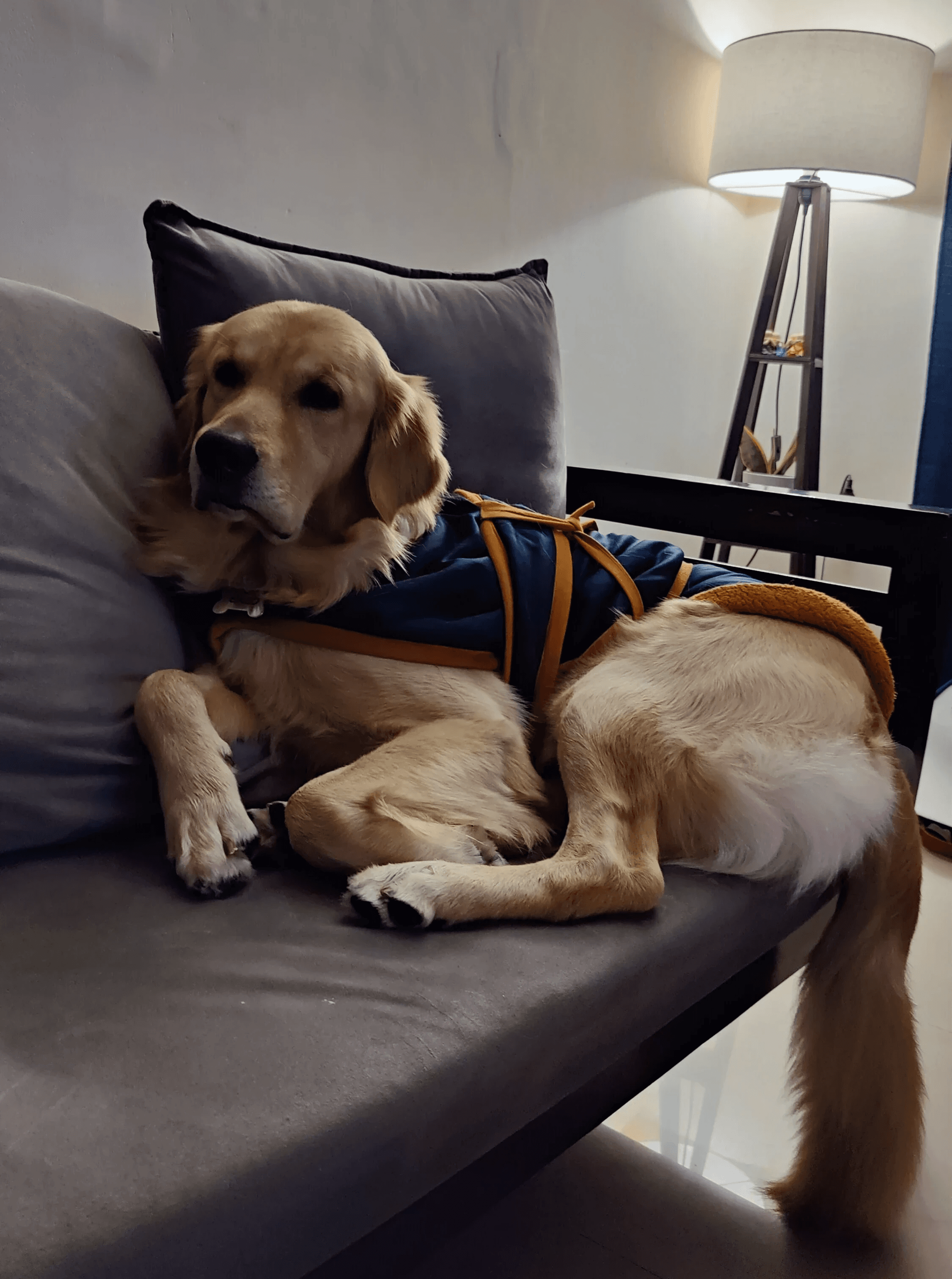 Making payments transparent and convenient for investors on Tyke