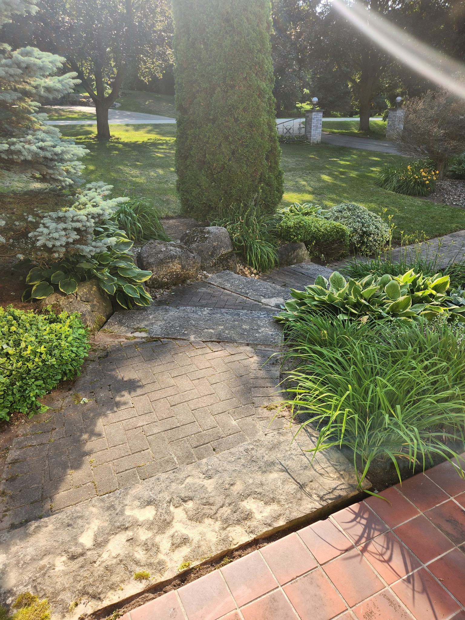 Landscaping