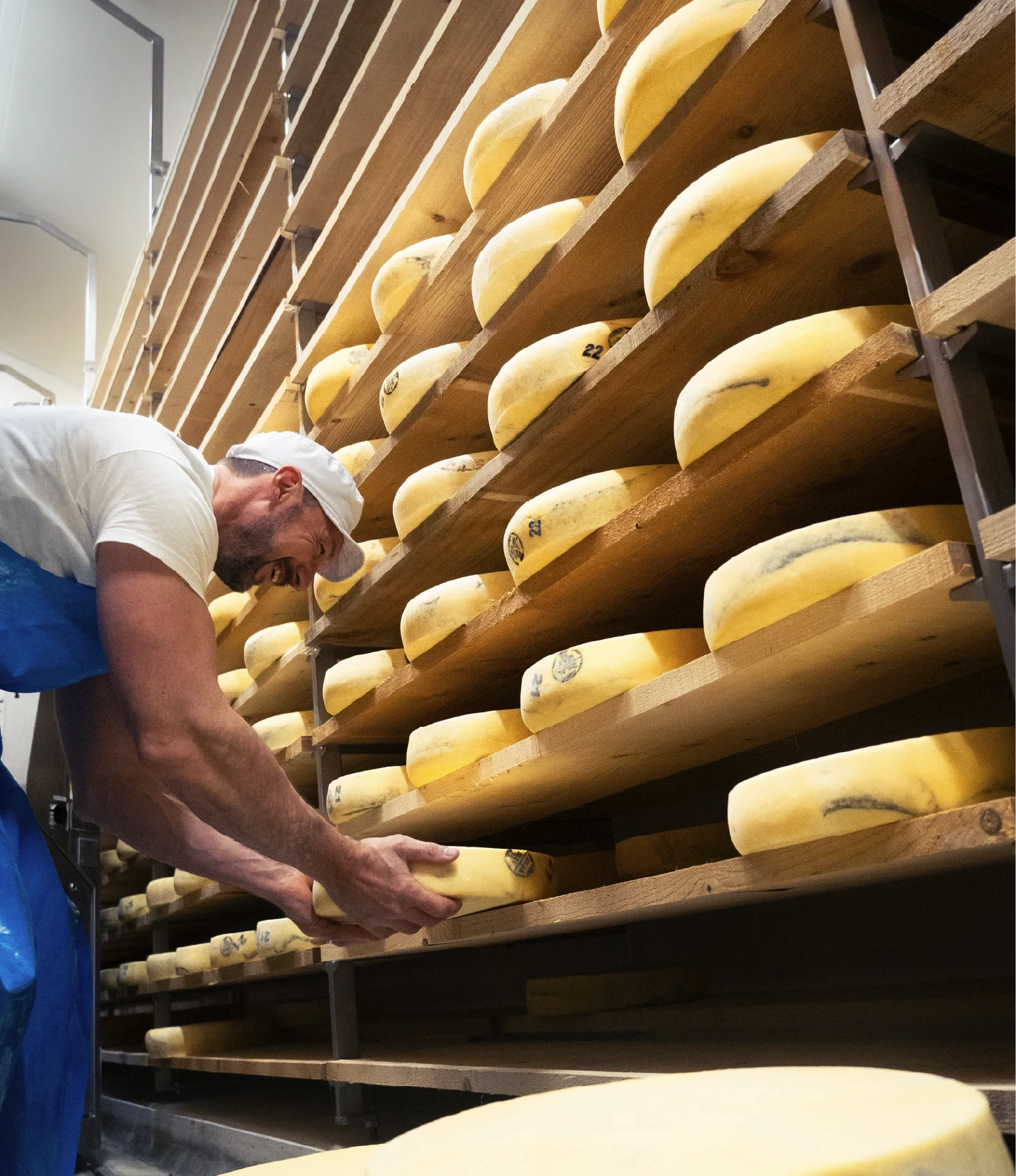 Personne manipulant une meule de fromage en cave