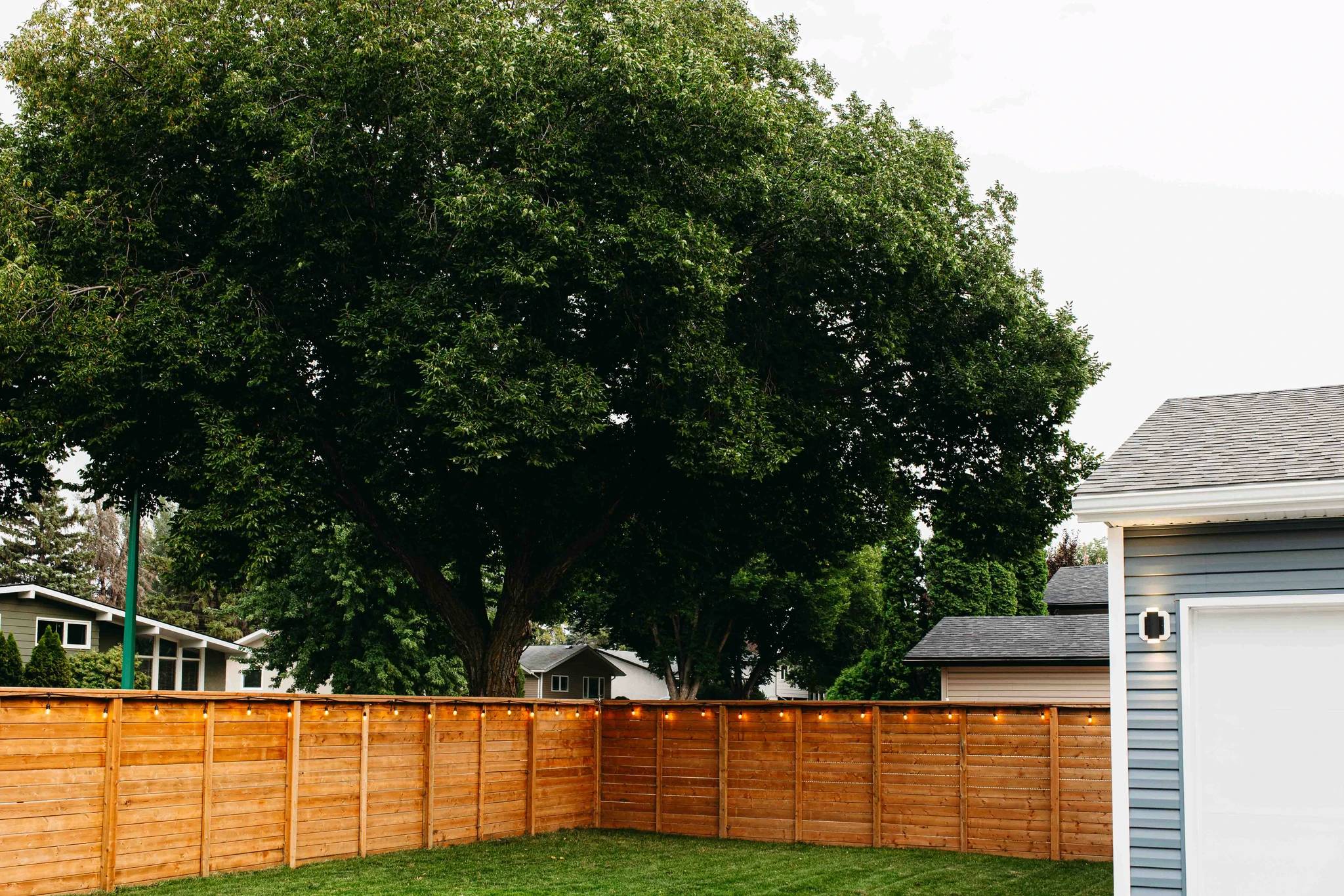 A Saskatoon Backyard featuring a new fence with lights