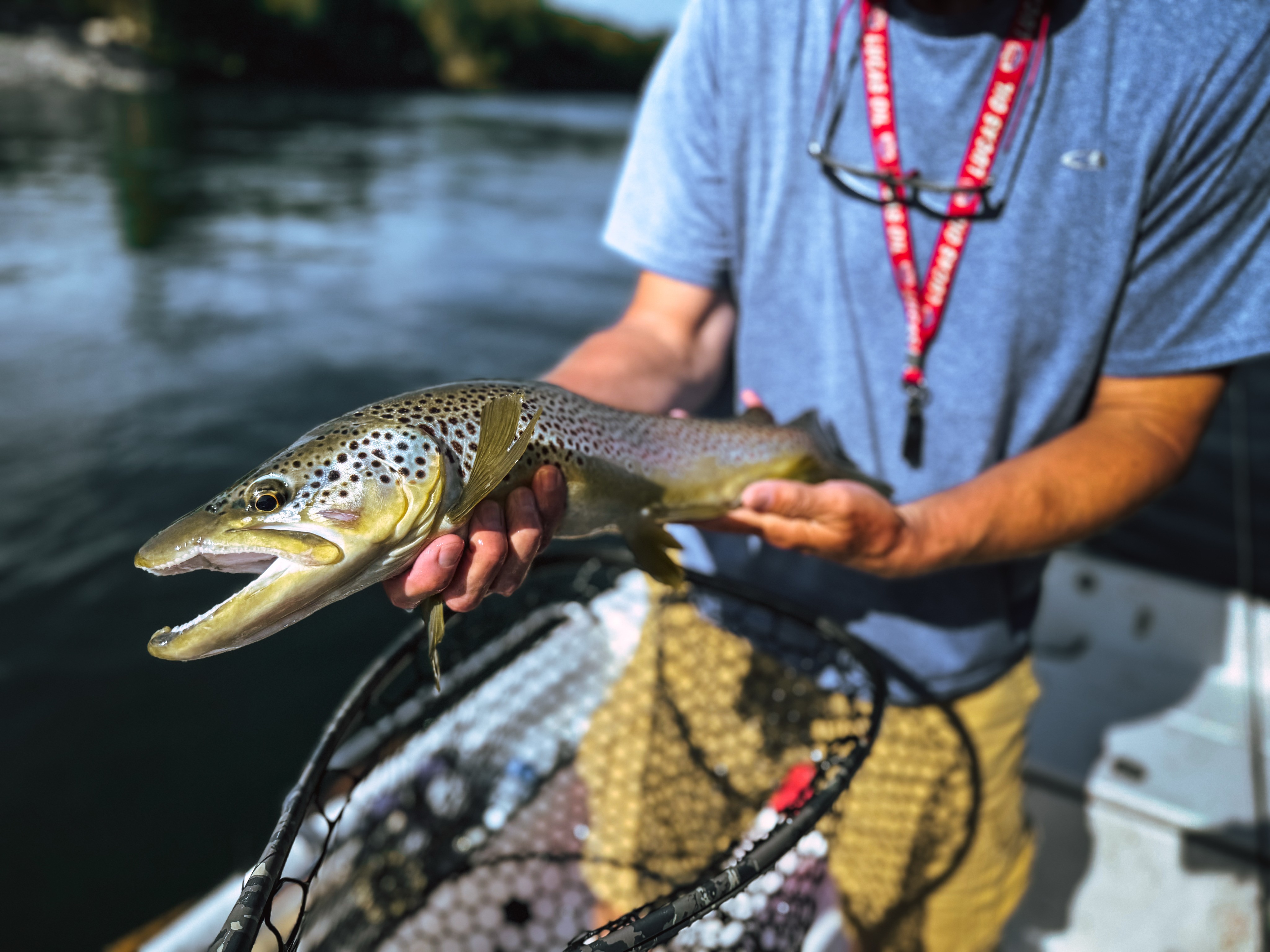 a woman holding a red flower