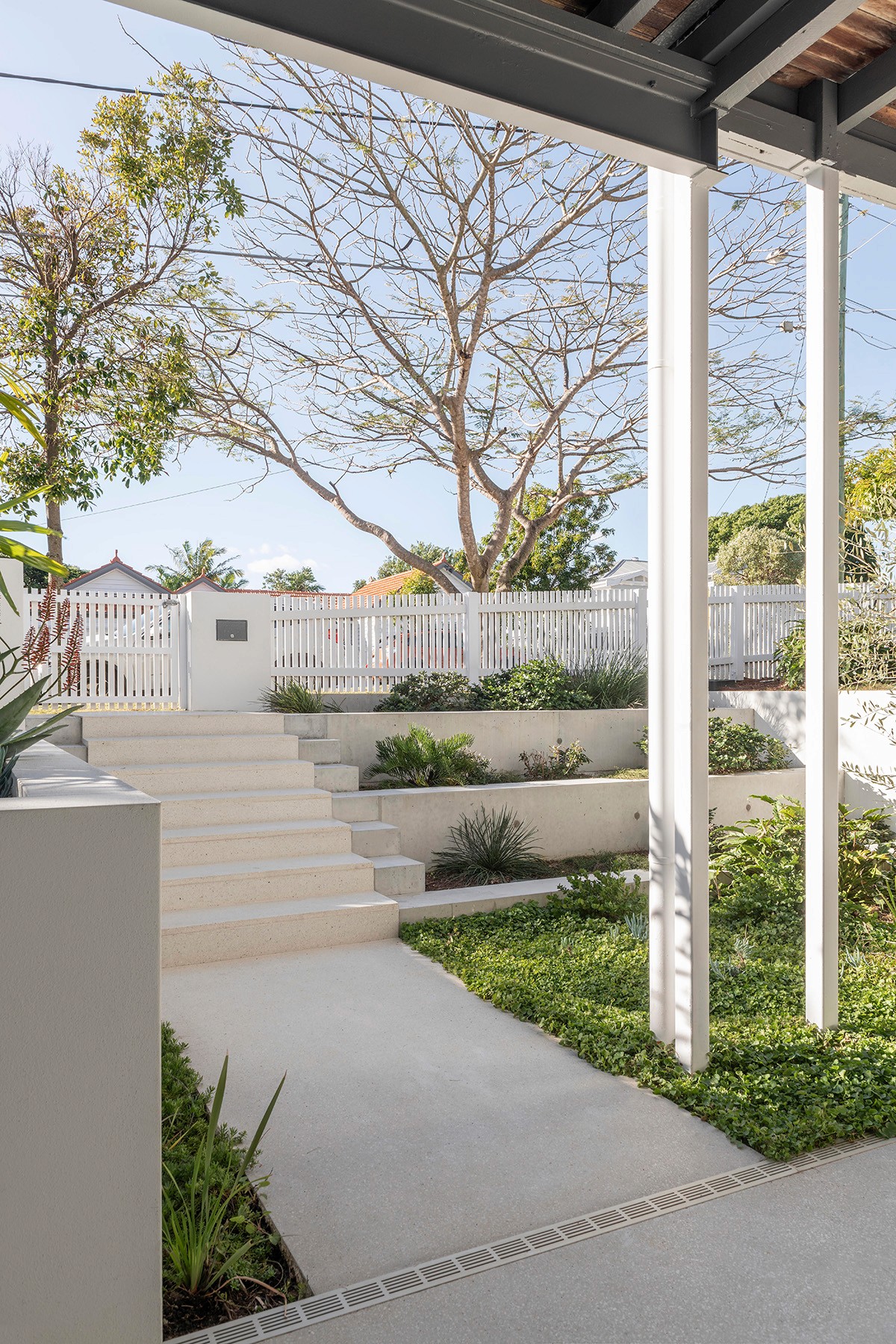 Front garden and entry steps of a renovated Queenslander home.