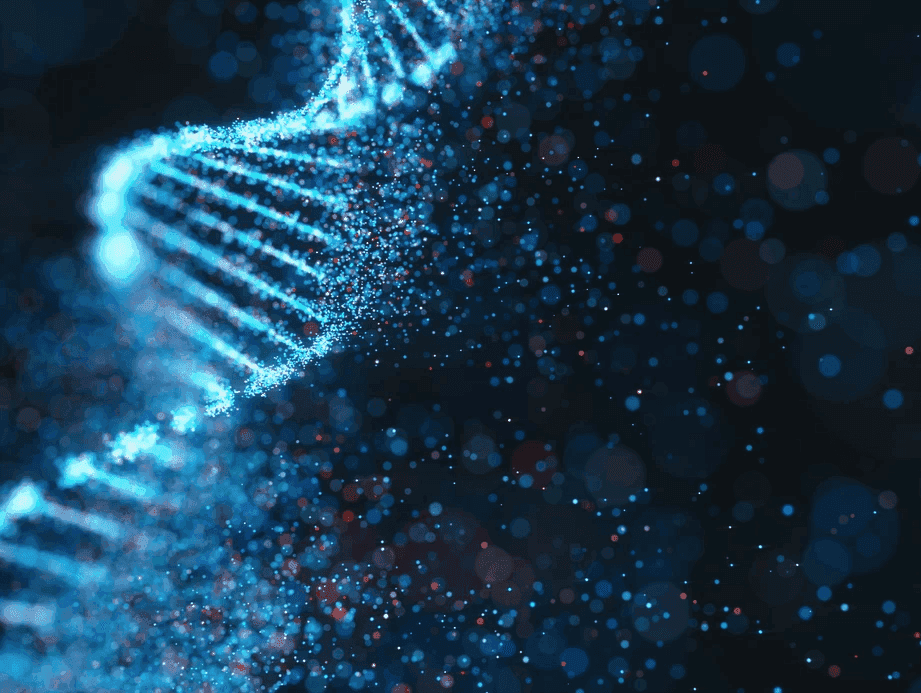 red and orange light bokeh