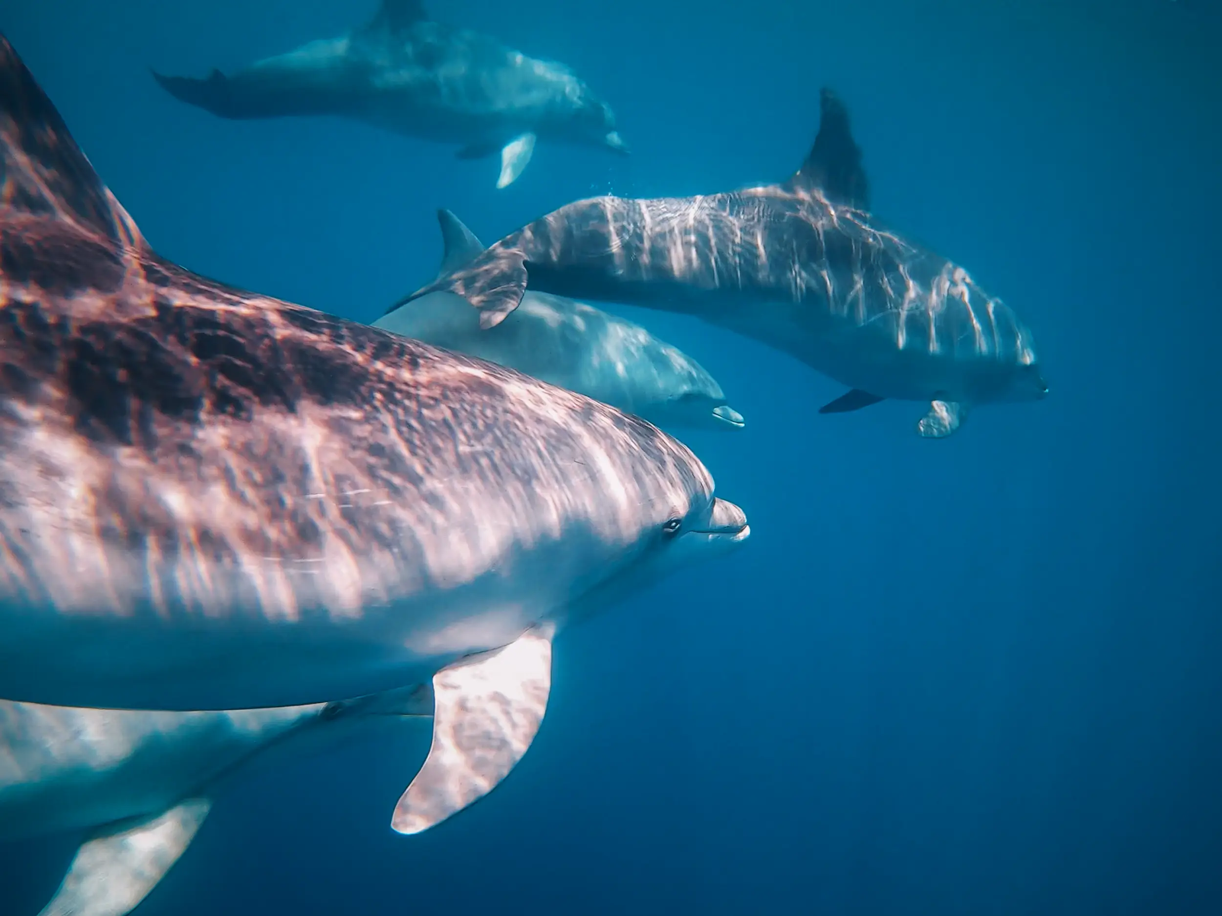 Photography Croatia: professional shots for social media Croatia.