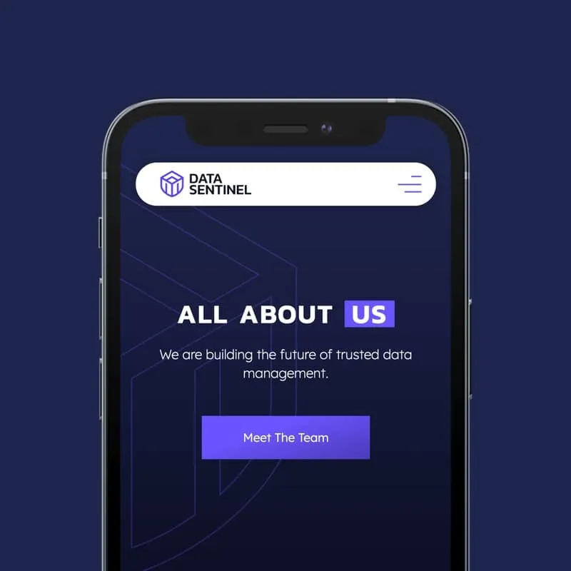 Data Sentinel portfolio section and project highlights from the completed creative project