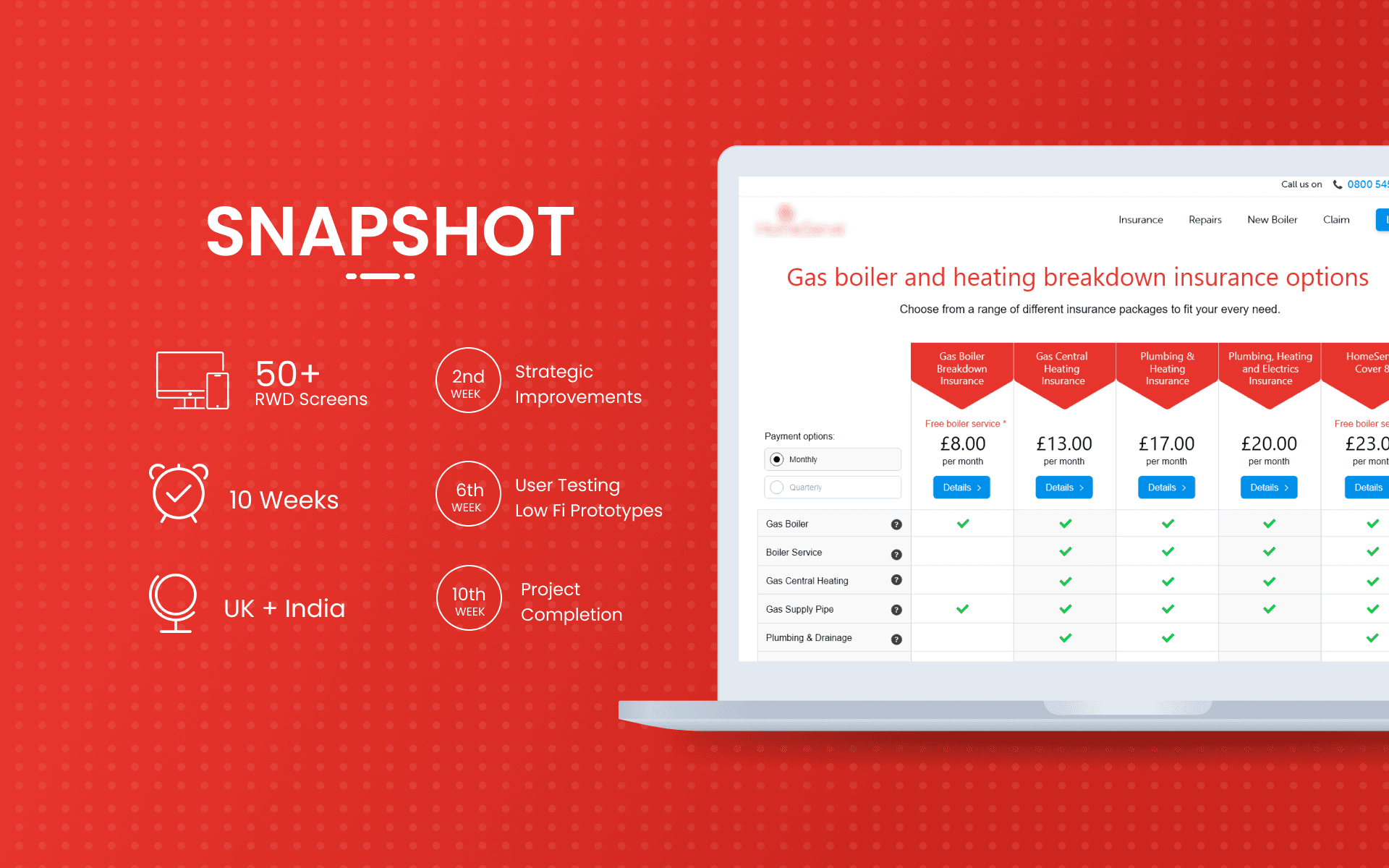 A snapshot of the project highlighting the milestones and deliverables..