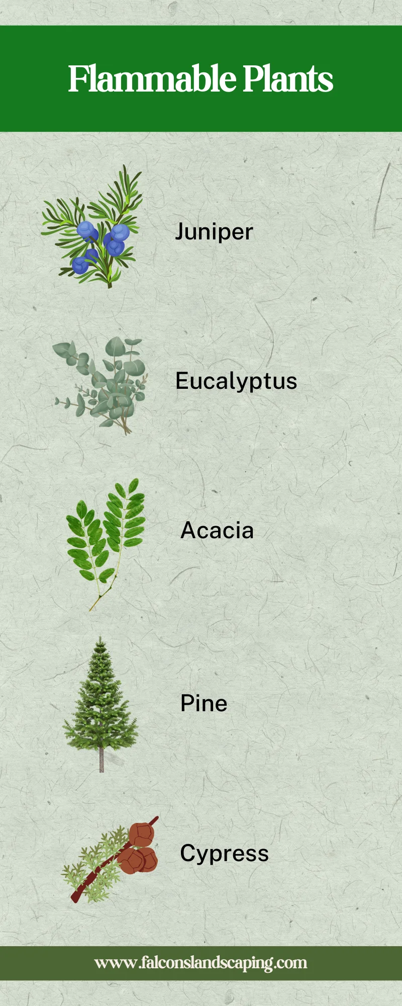 flammable-plants-list