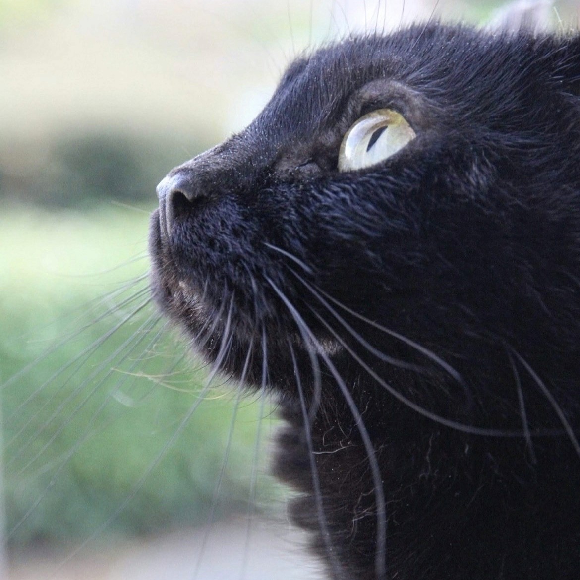 Fashion portrait photography