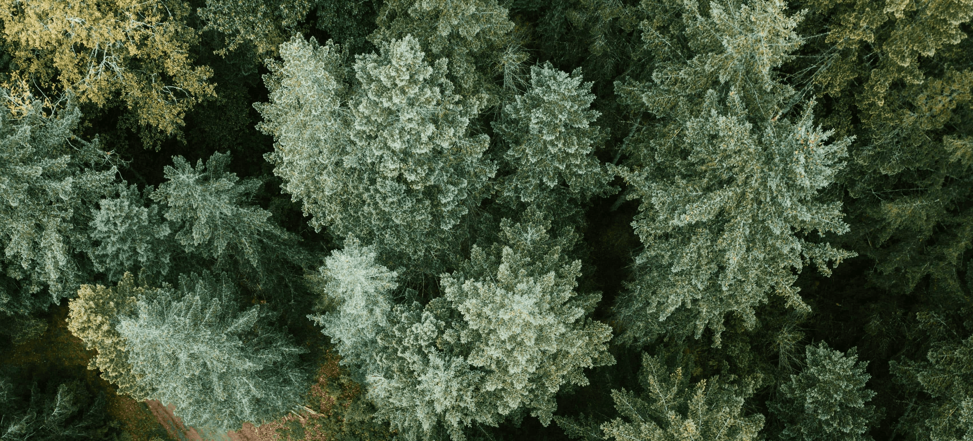A winding road cuts through rocky terrain, surrounded by patches of green grass and illuminated by sunlight.
