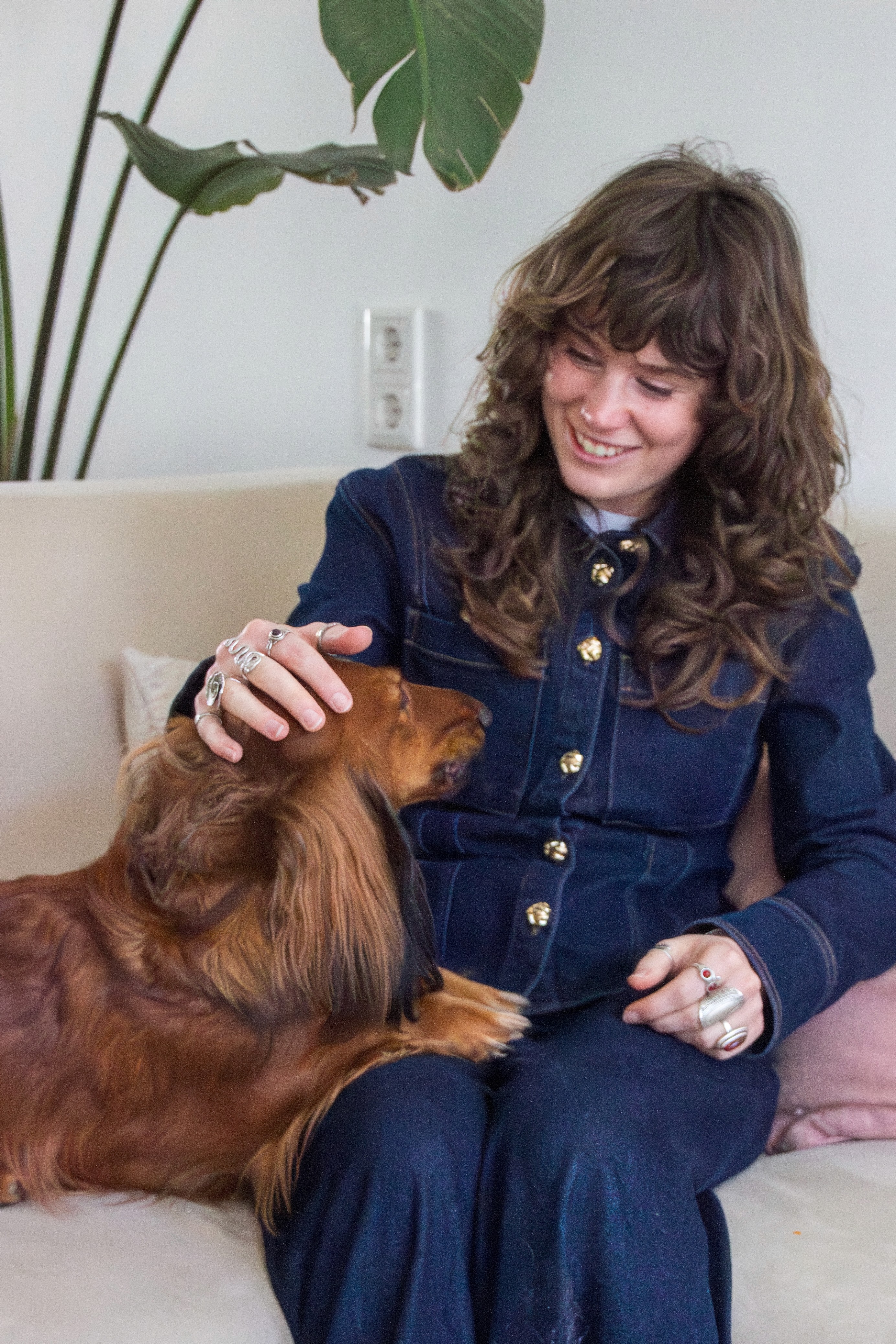 Cost of a pet sitter at Charly Cares