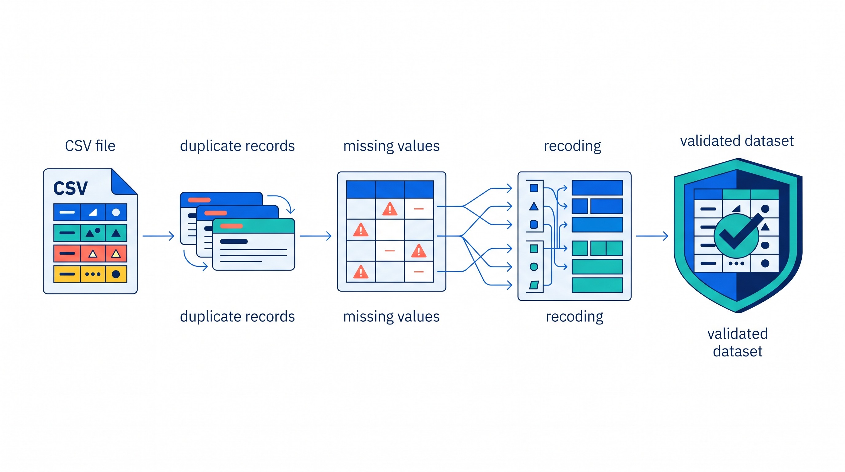 Survey data cleaning workflow from raw CSV to validated dataset