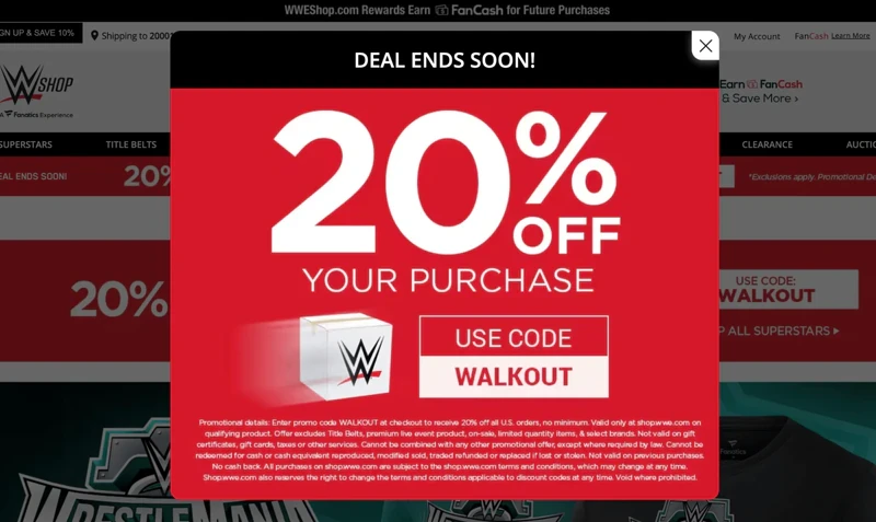 Website_flash_sale_pop_up