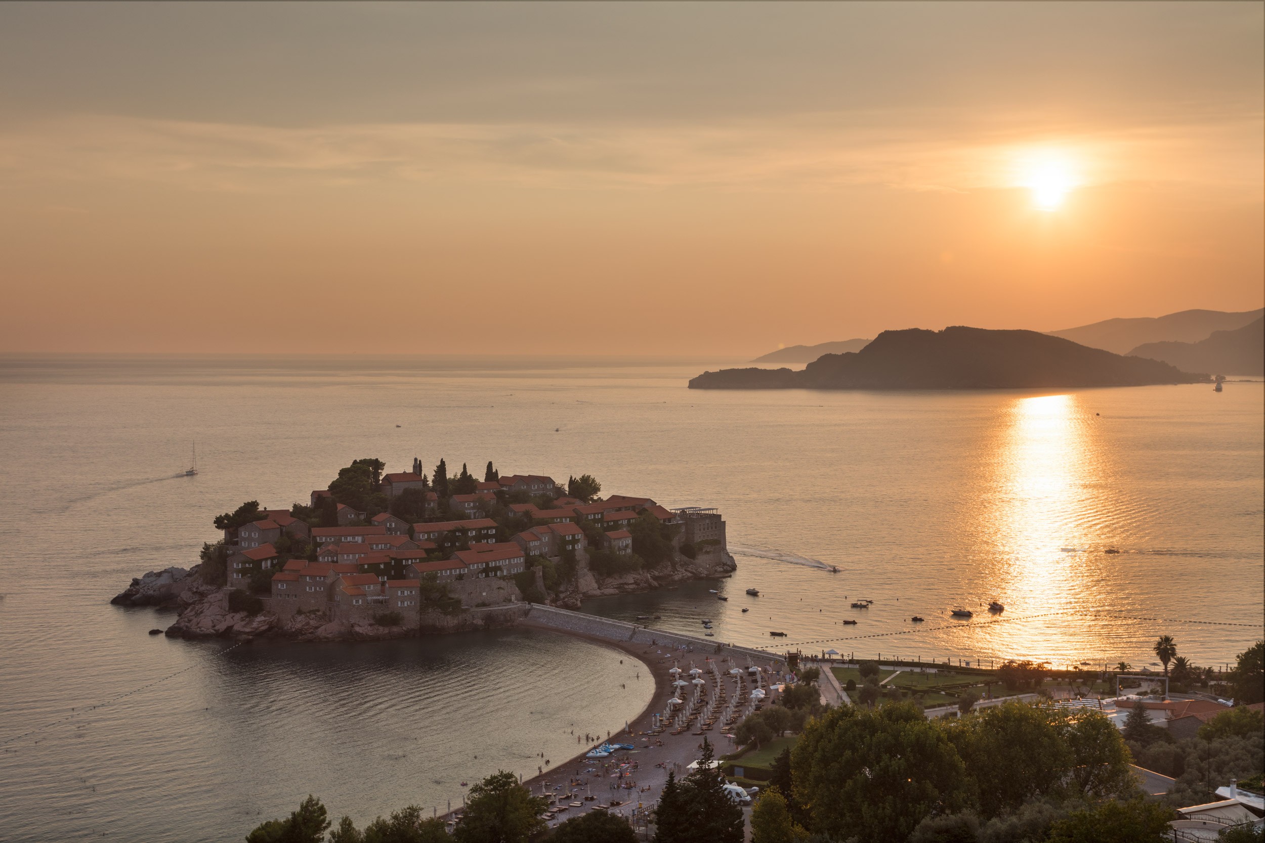 Soft Elegance: Studio Portraits in Light & Bloom