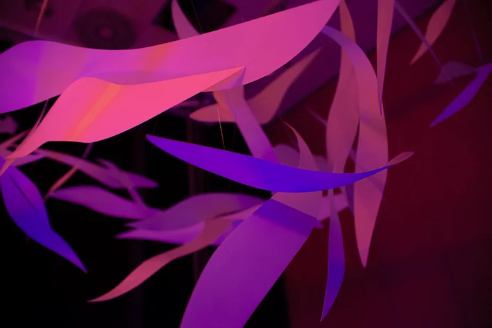 Nightsss Project Small Photo Art Items